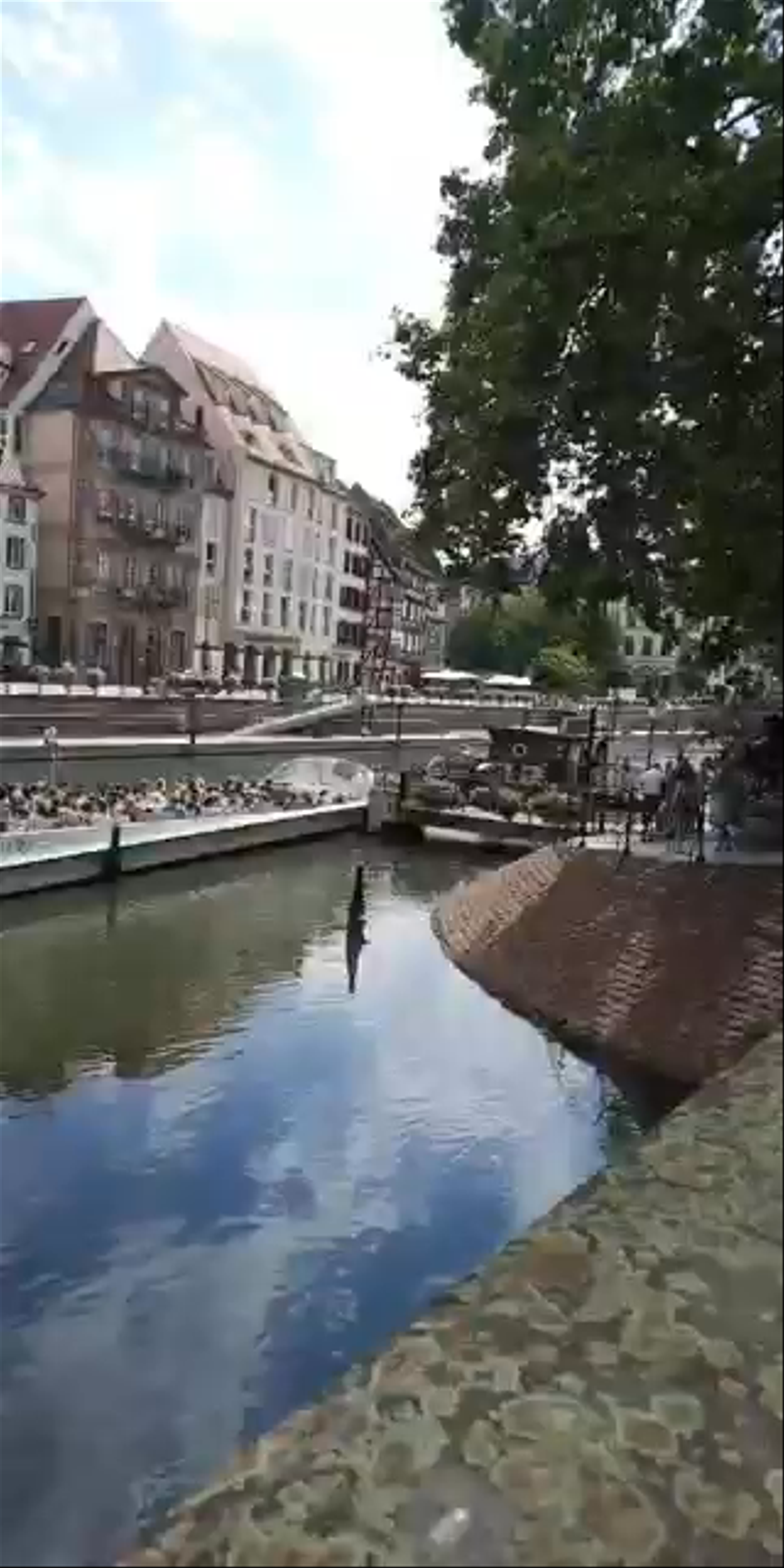 Scenic Riverside Walk Through Historic Strasbourg