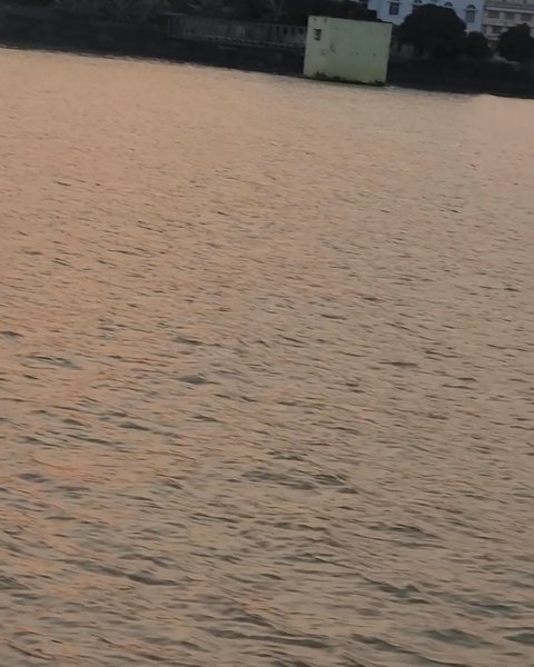 Photo of DAKSHINESWAR KALI TE