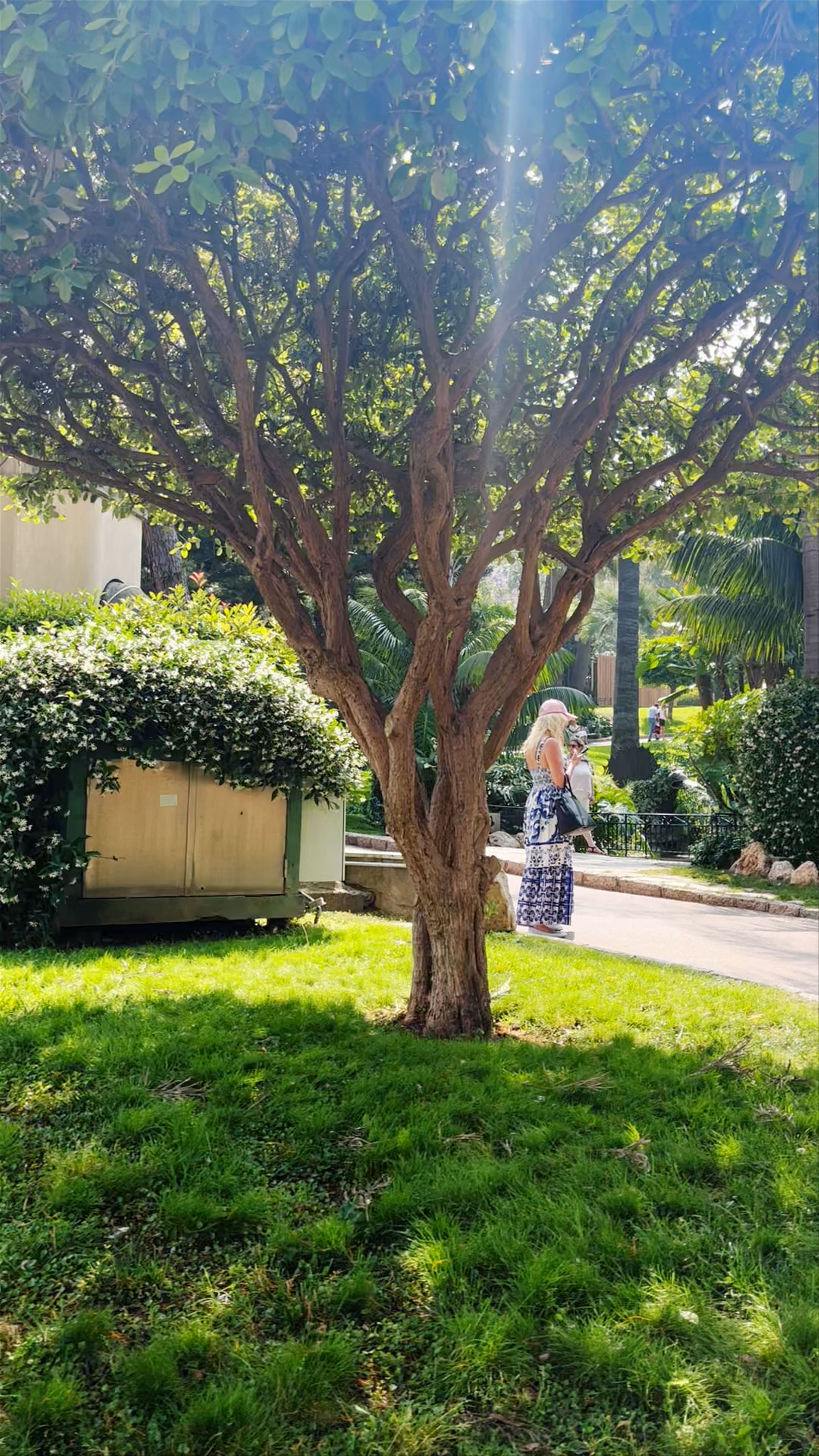 Jardins de la Petite Afrique