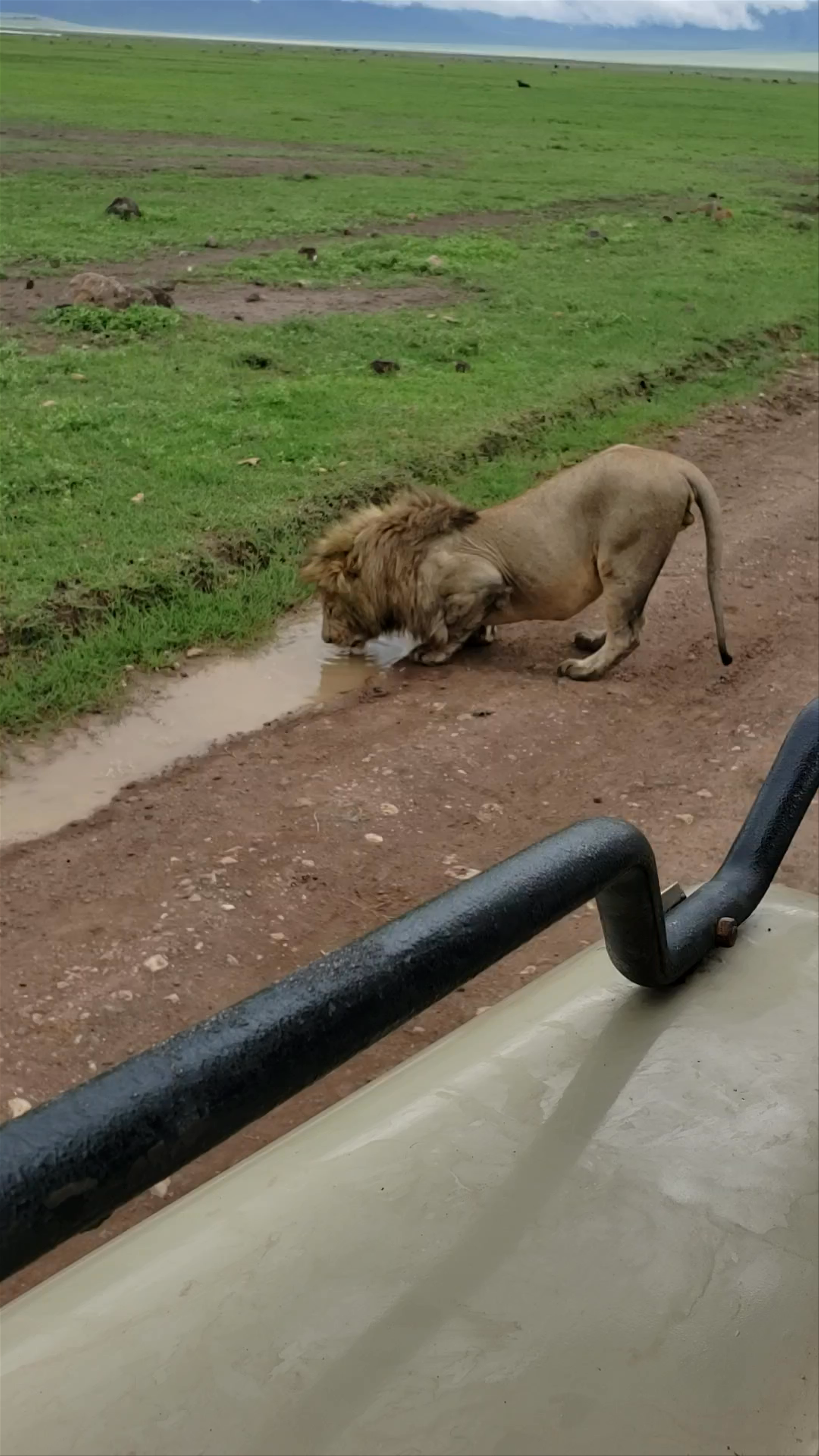 Serengeti National Park