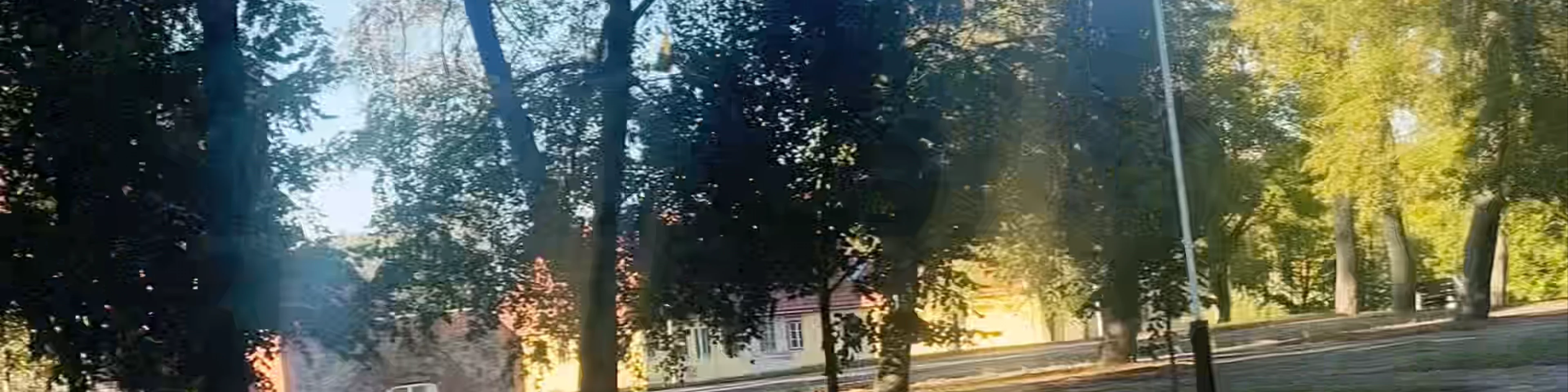 Šeduvos (Raudondvaris) estate