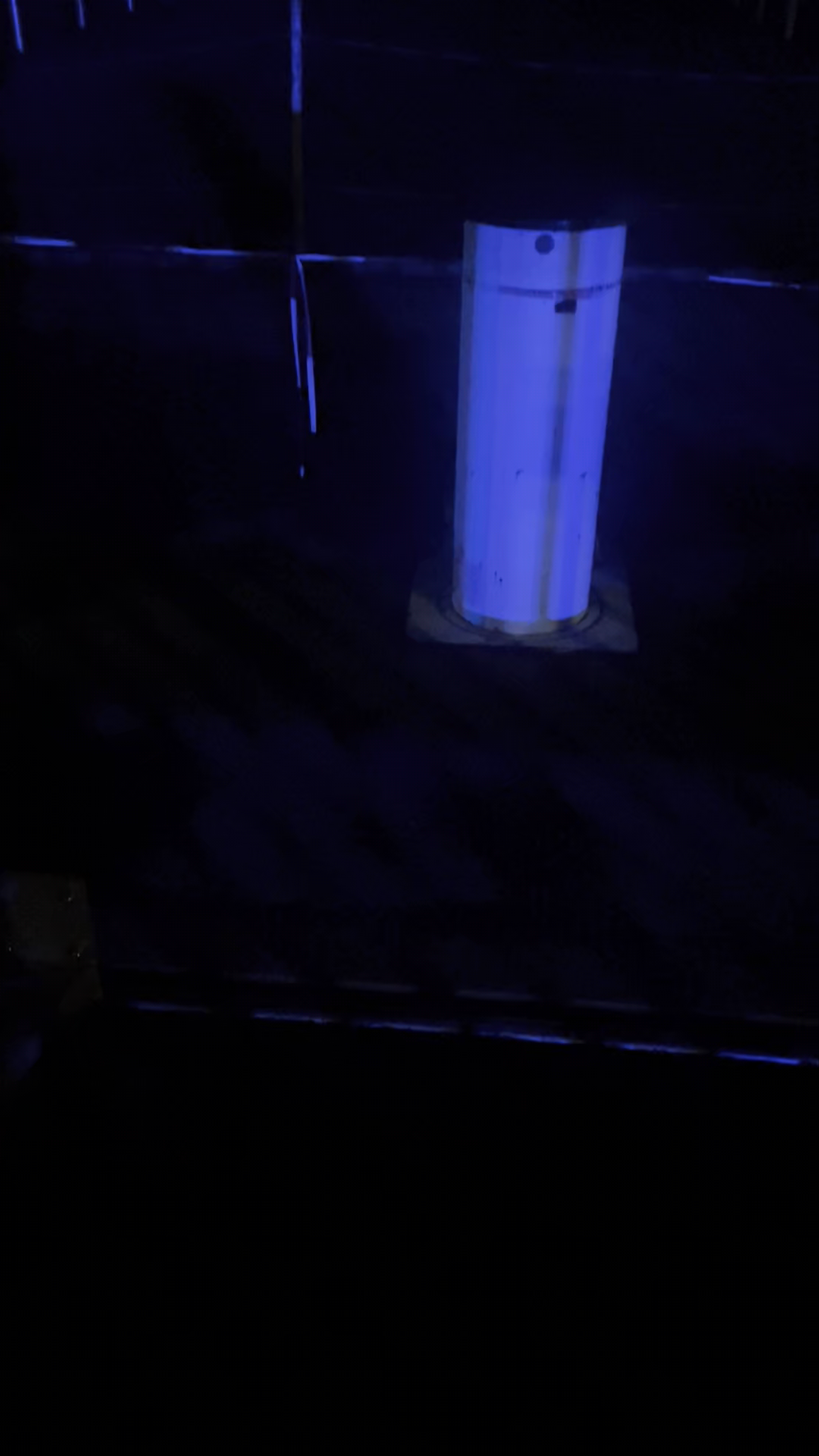 UN Geneva - Alley of the Flags