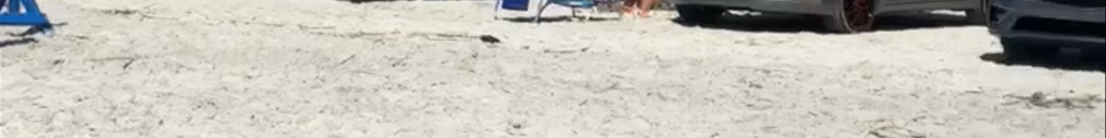 Tours & experiences in New Smyrna Beach