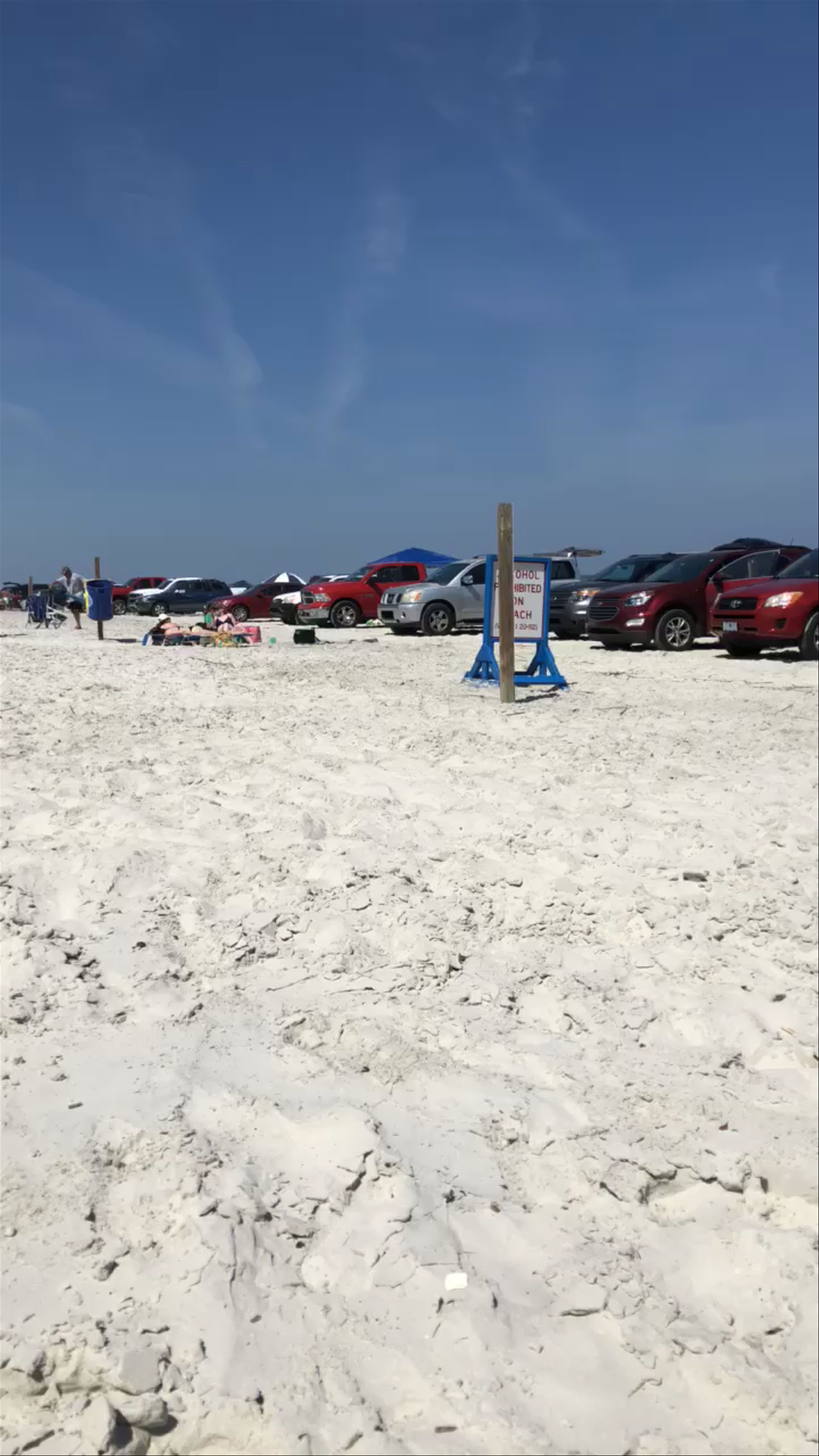 Sunny Beach Day at New Smyrna Beach, Florida