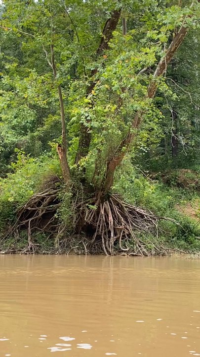 Red River Adventure - Rafting/Kayaking Near Me - Stanton, Kentucky
