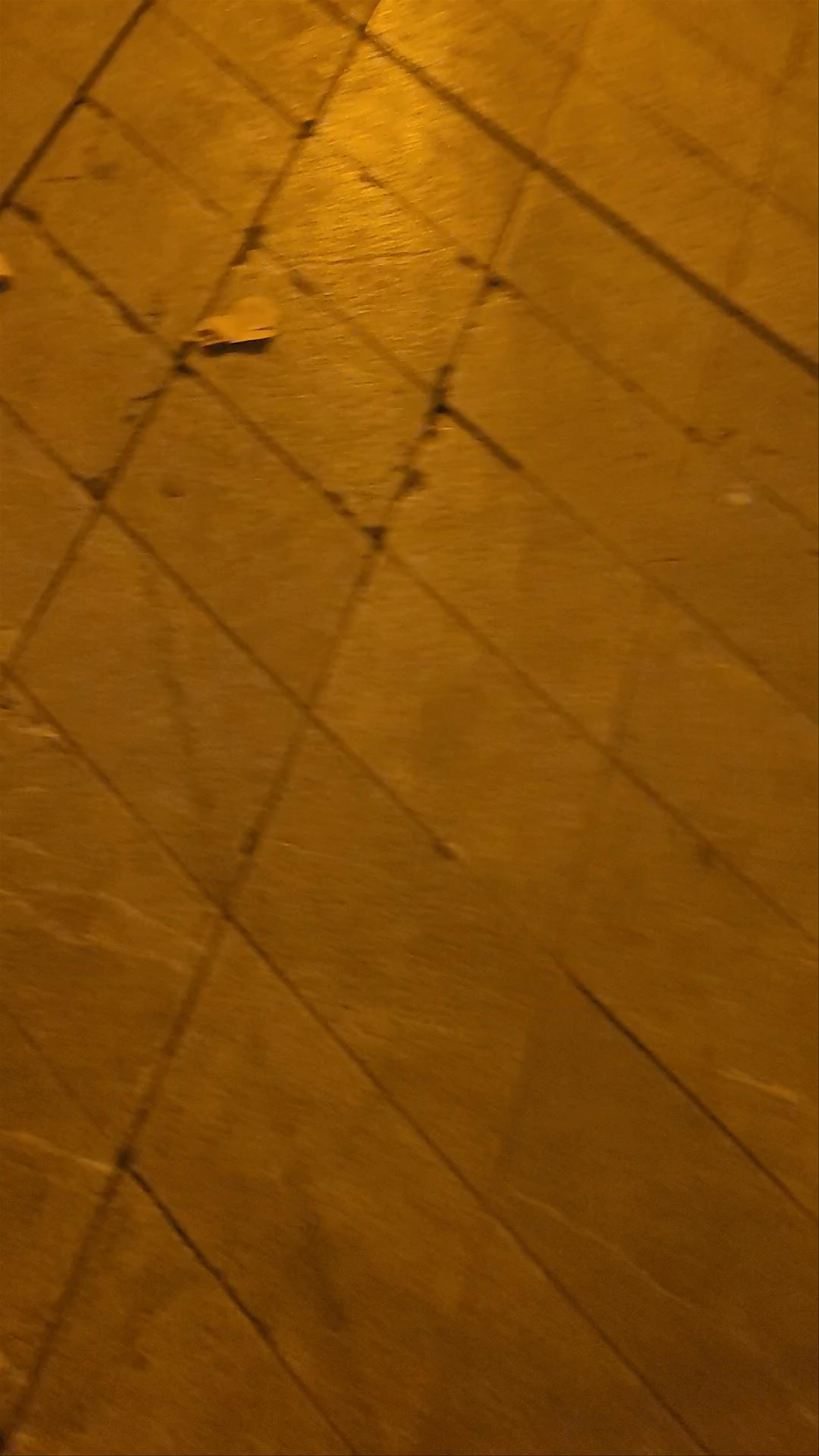 Festive Night Stroll Along Passeig del Born, Barcelona