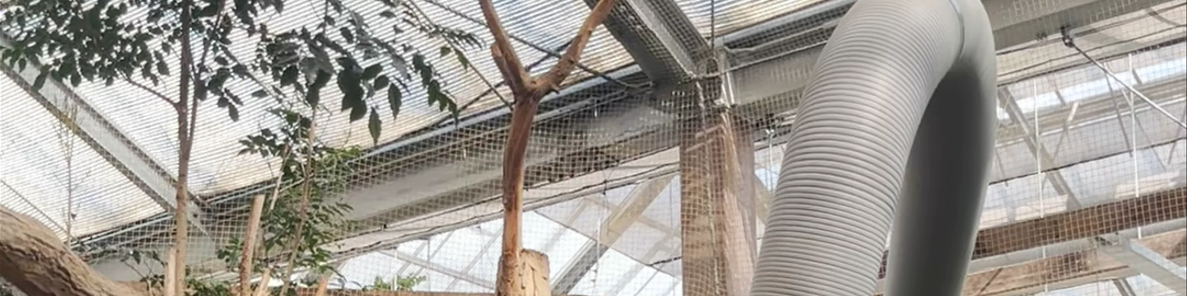 Kobe Animal Kingdom