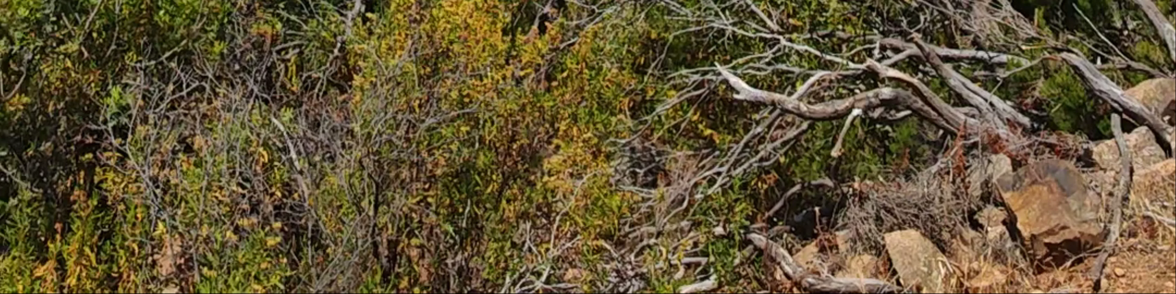 Sentier du facteur