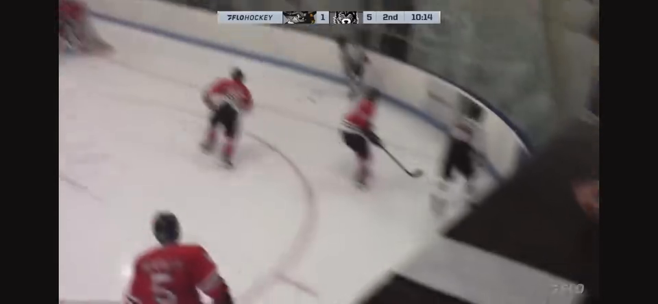 Matej Kraus: Offensive Highlights from the New England Wolves