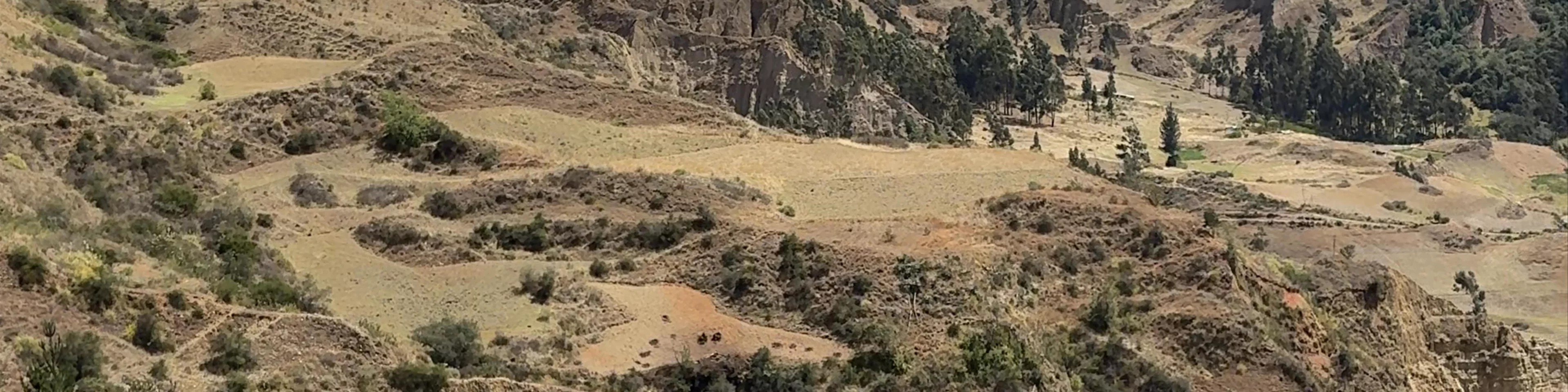 Puka ventana