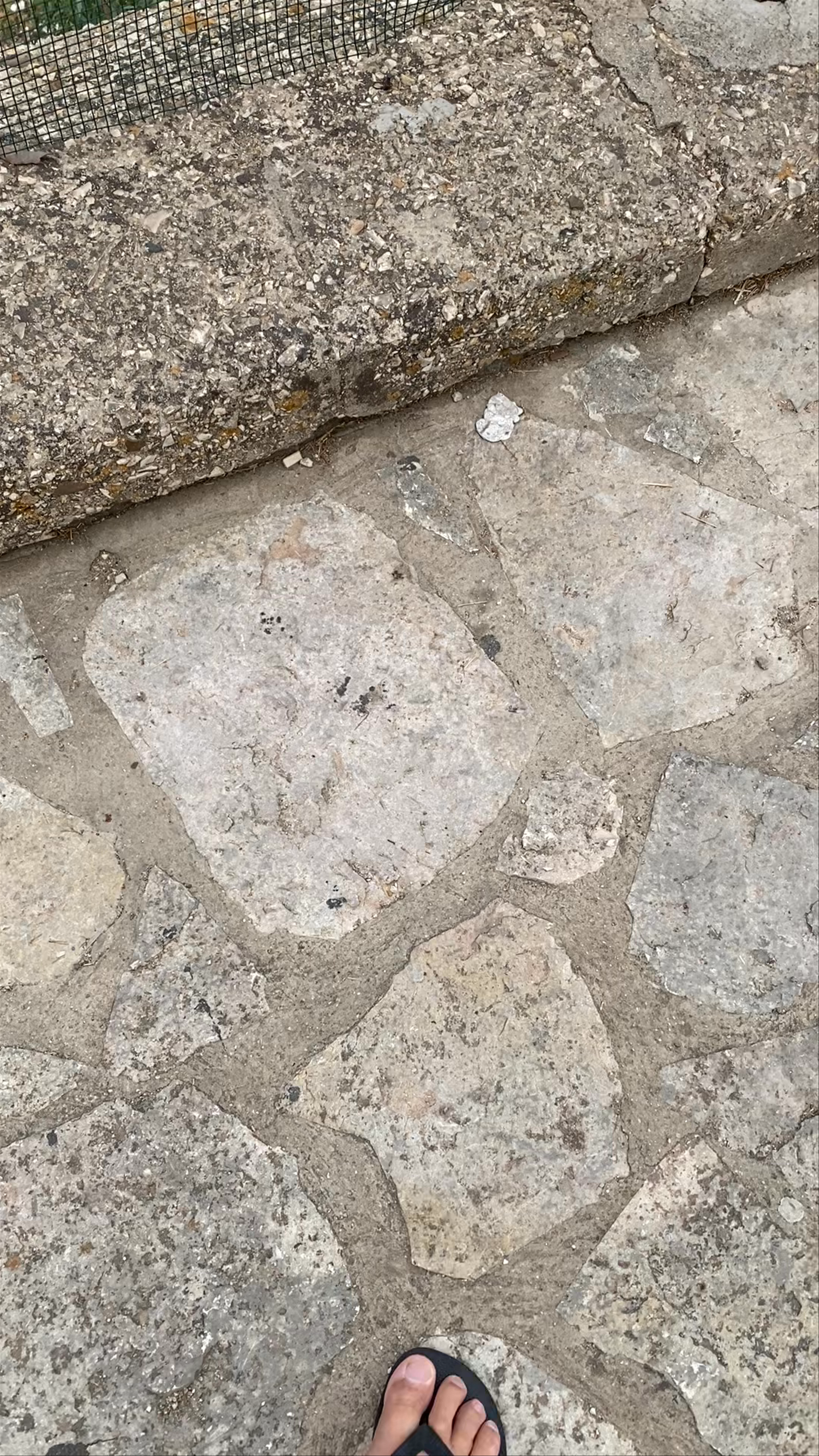 Castellammare del golfo