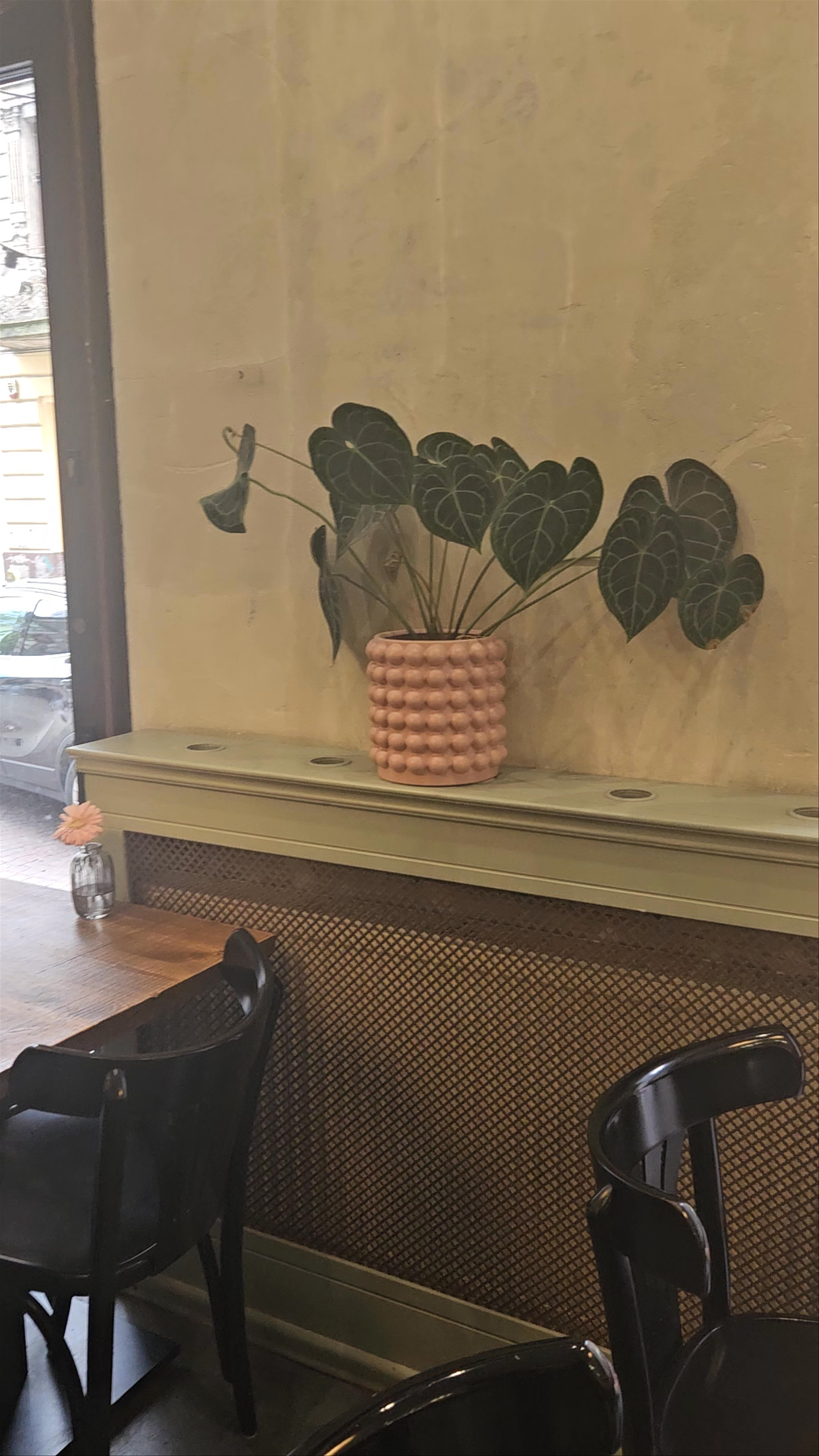 Restauracja Sushi W Dłoń – Poke Bowl | Bao | Ramen | Sushi Łódź Śródmieście