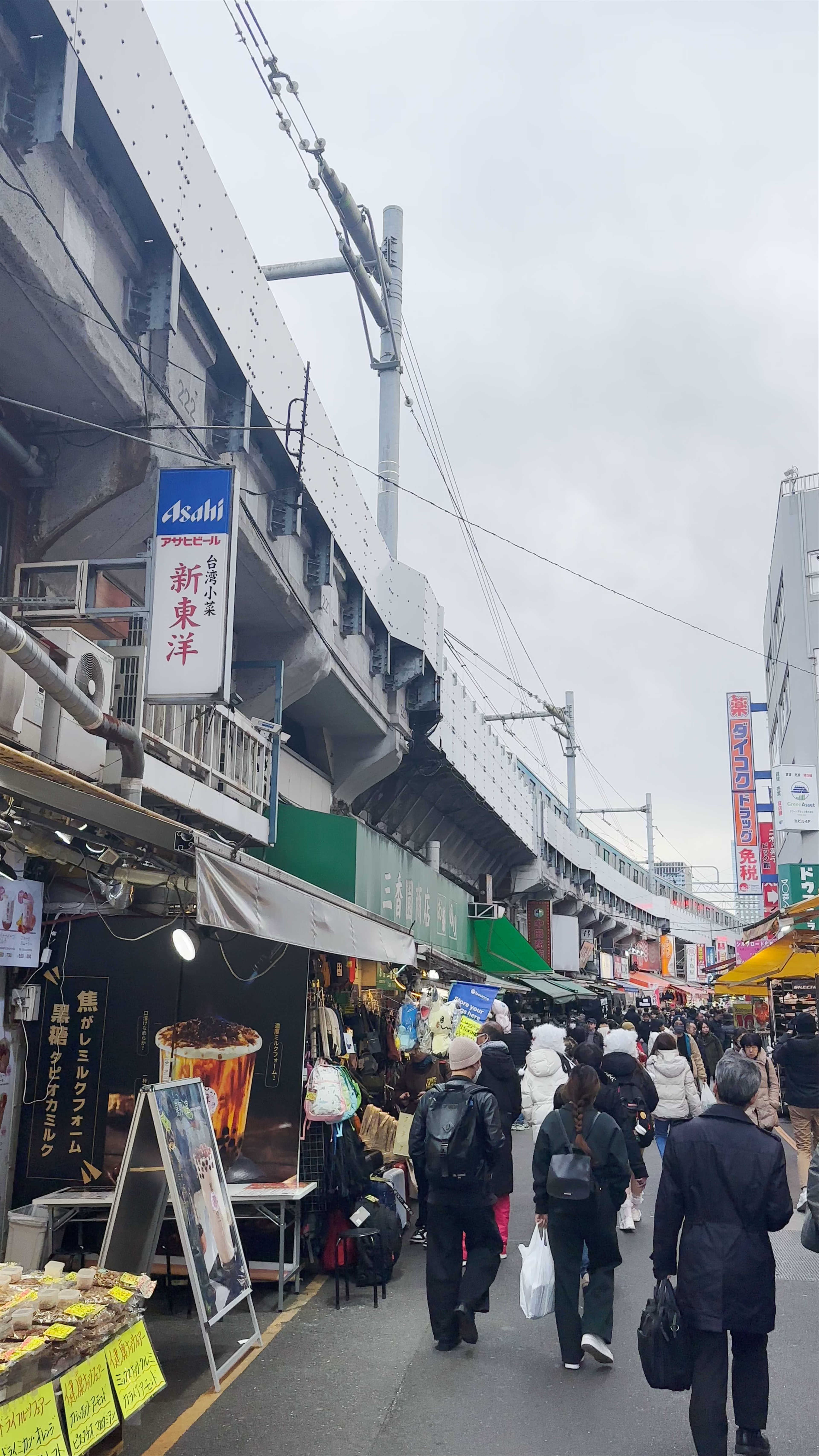 Ameyayoko Shopping District: Bustling Market Vibes in Tokyo
