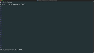 Execute bin/magento and Composer within Docker containers
