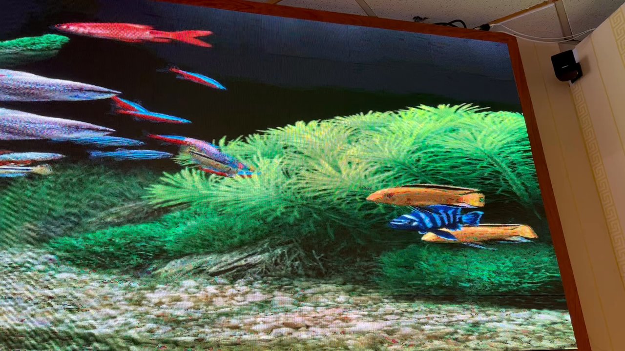 The Rice House - Wall display - Cantonese Near Me - Milpitas, California