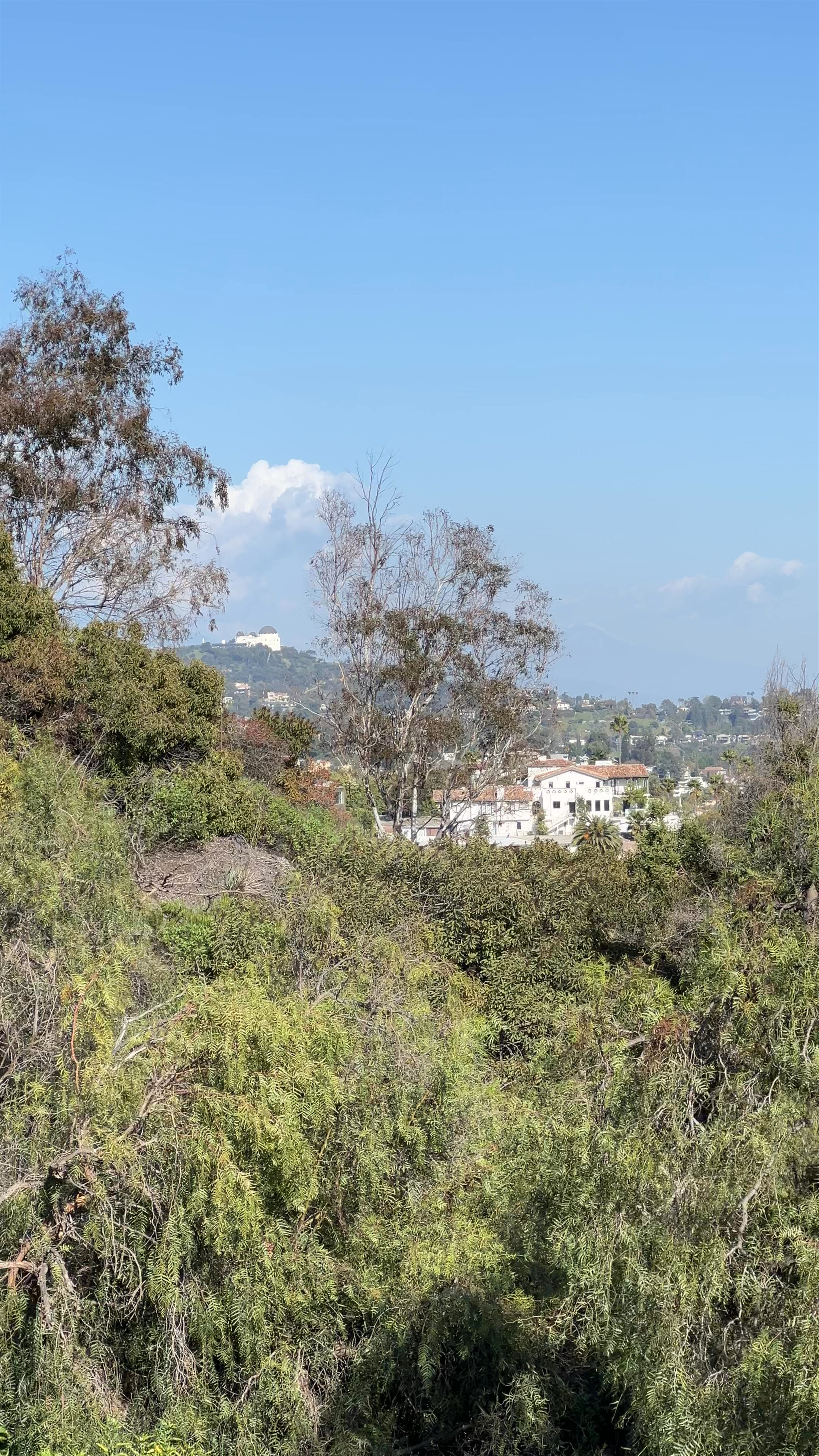 Runyon Canyon Park: Breathtaking Panoramic Views of Los Angeles Skyline
