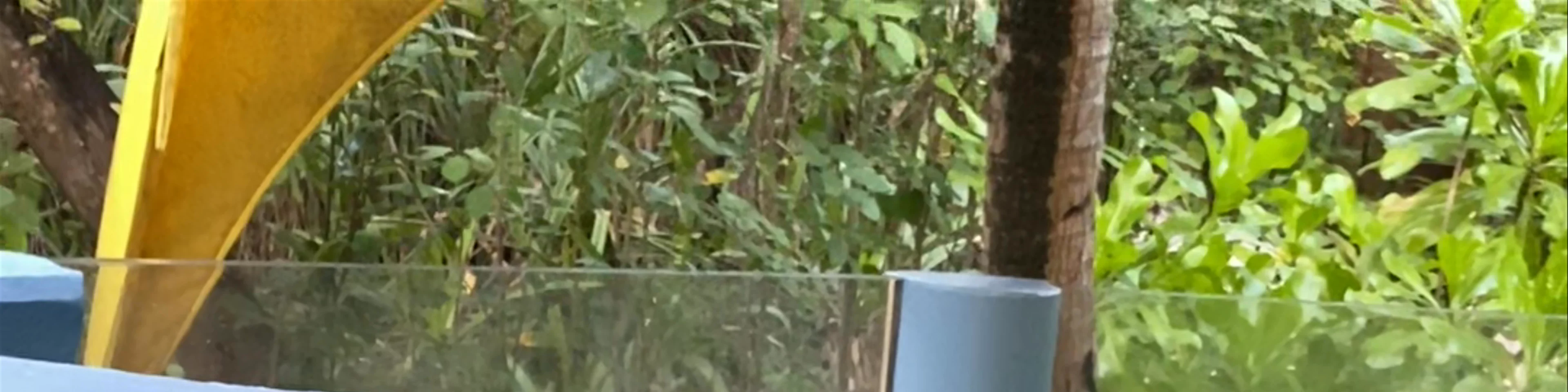 Coco Palm Dhuni Kolhu