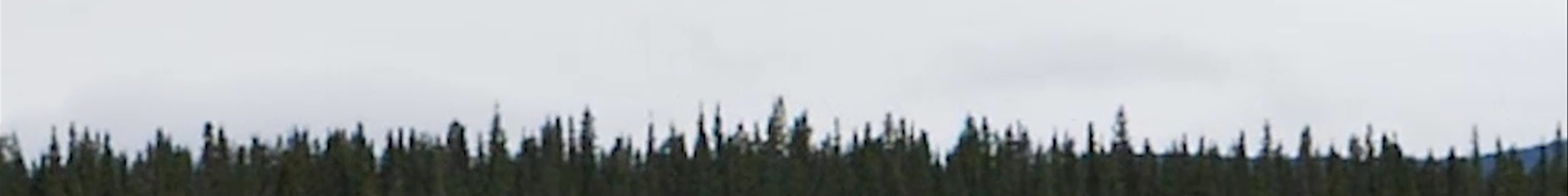 Tours & experiences in Alberta