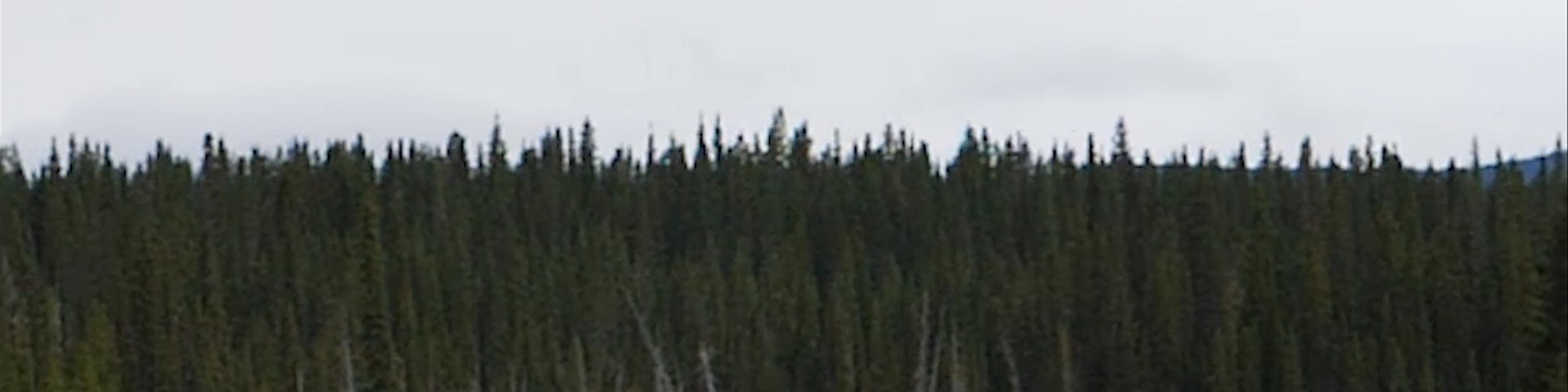 Alberta