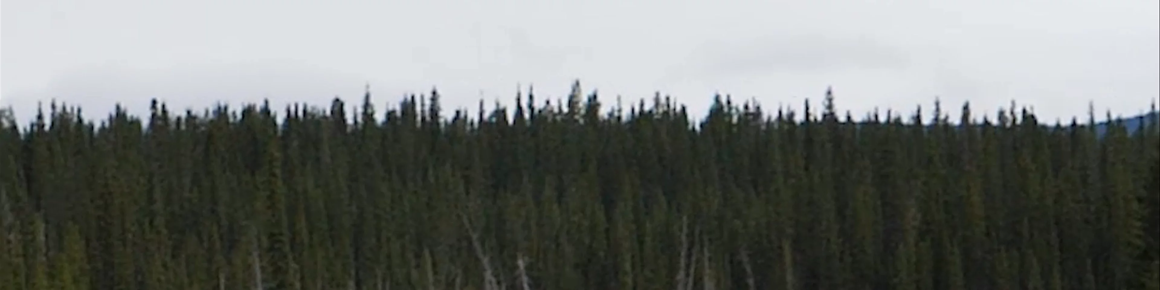 Fish Lake Campground