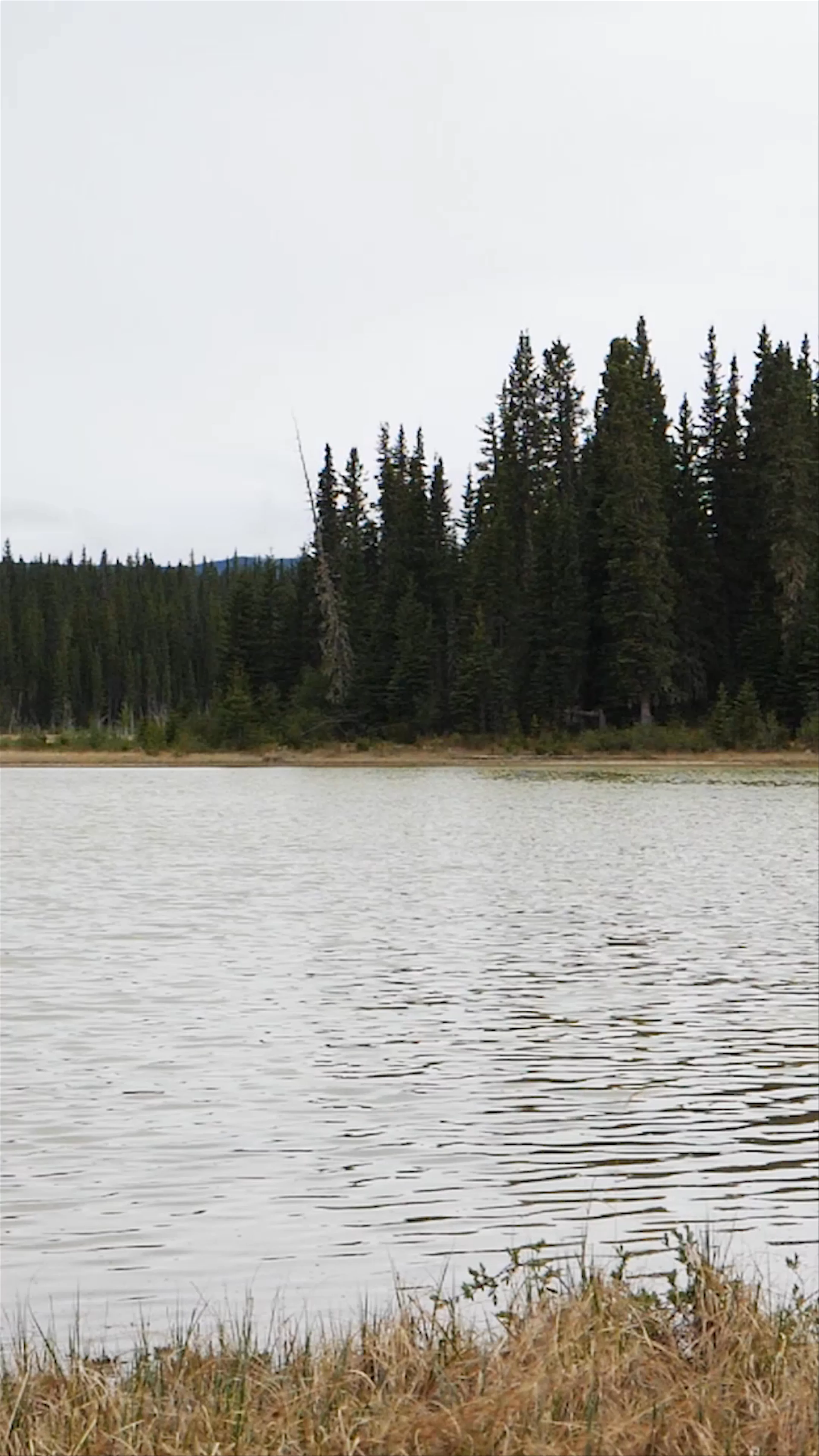 Rocky Mountain House