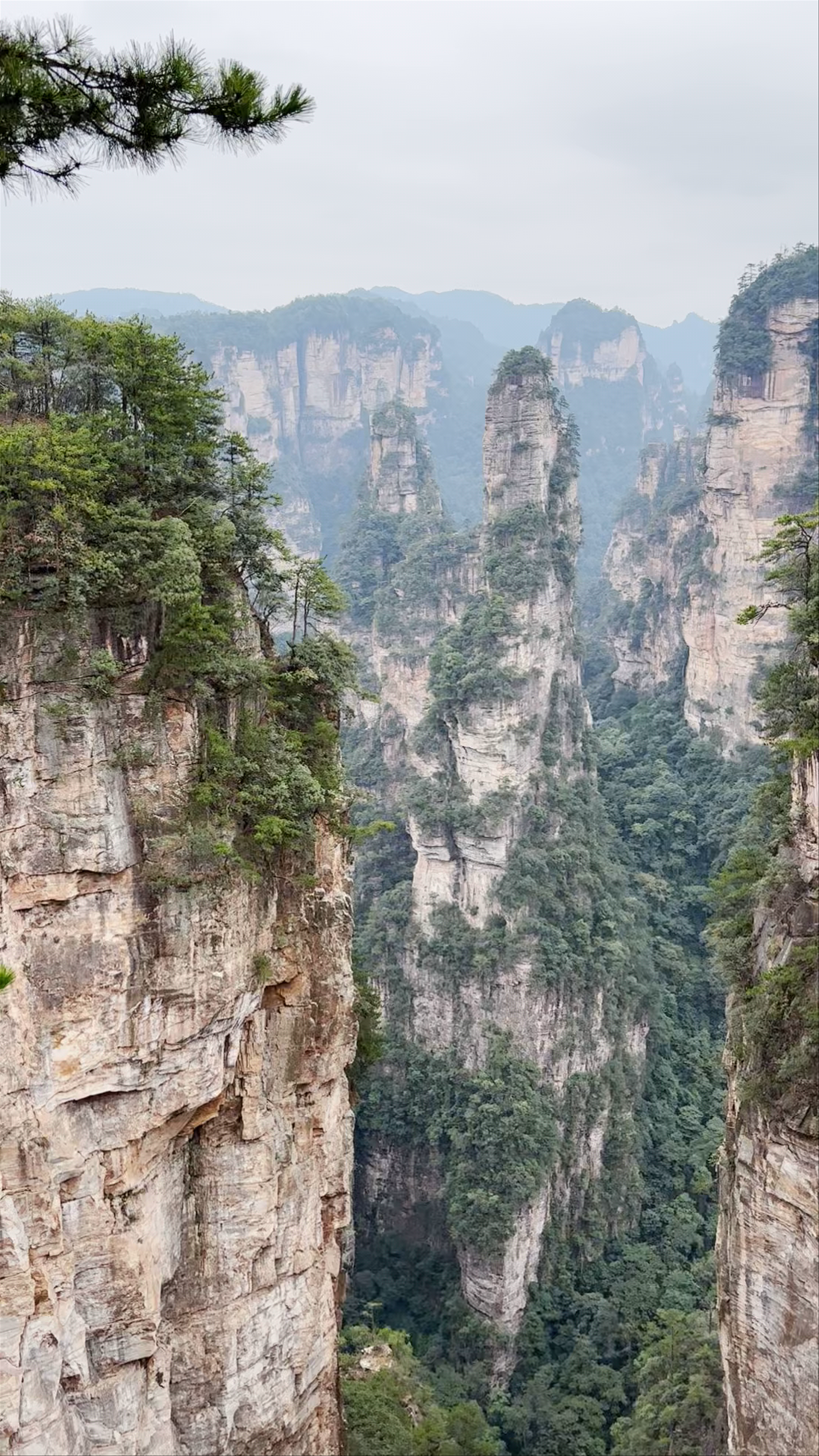 Zhangjiajie National Forest Park