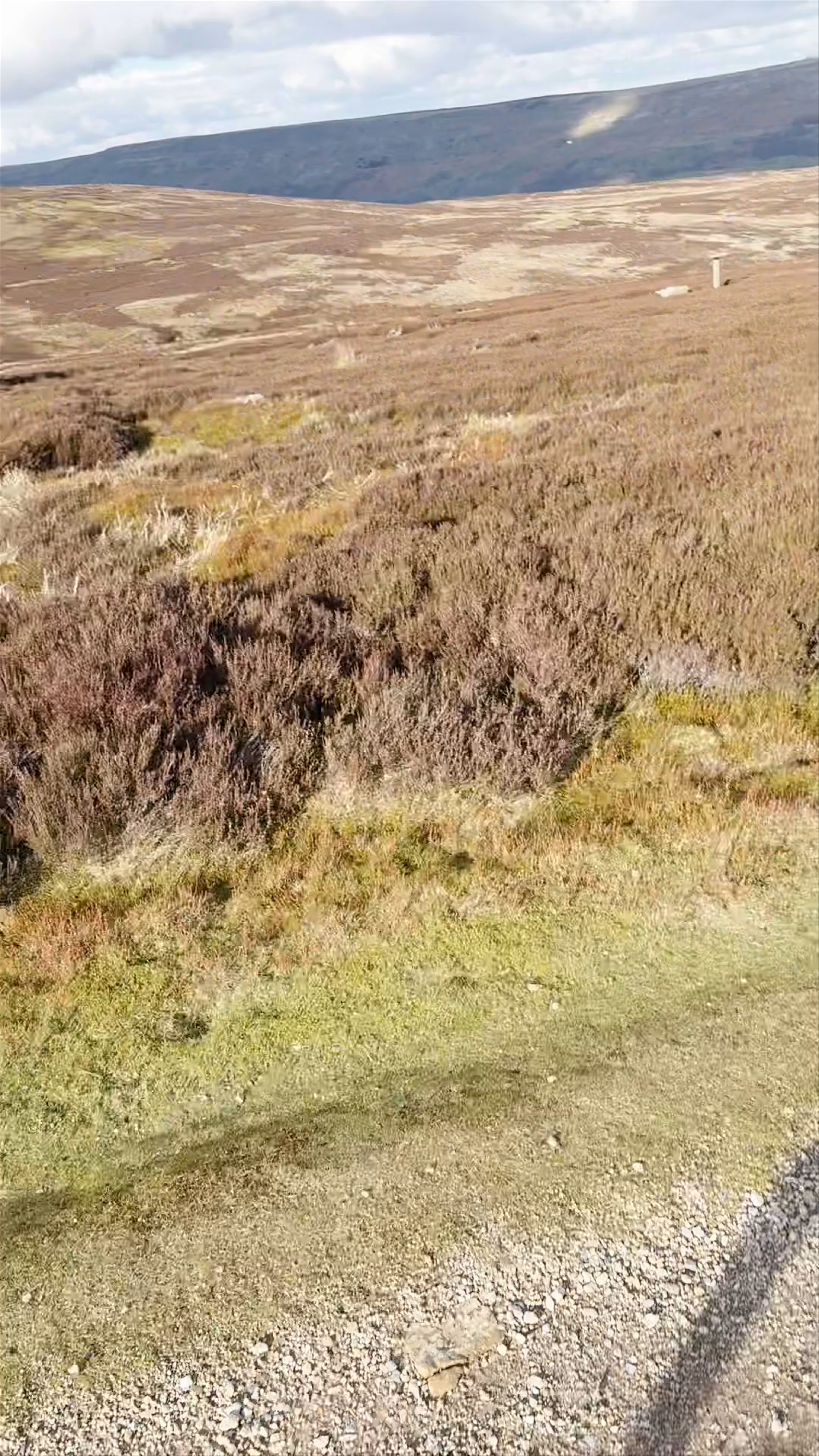 Exploring the Untamed Beauty of Yorkshire Dales National Park