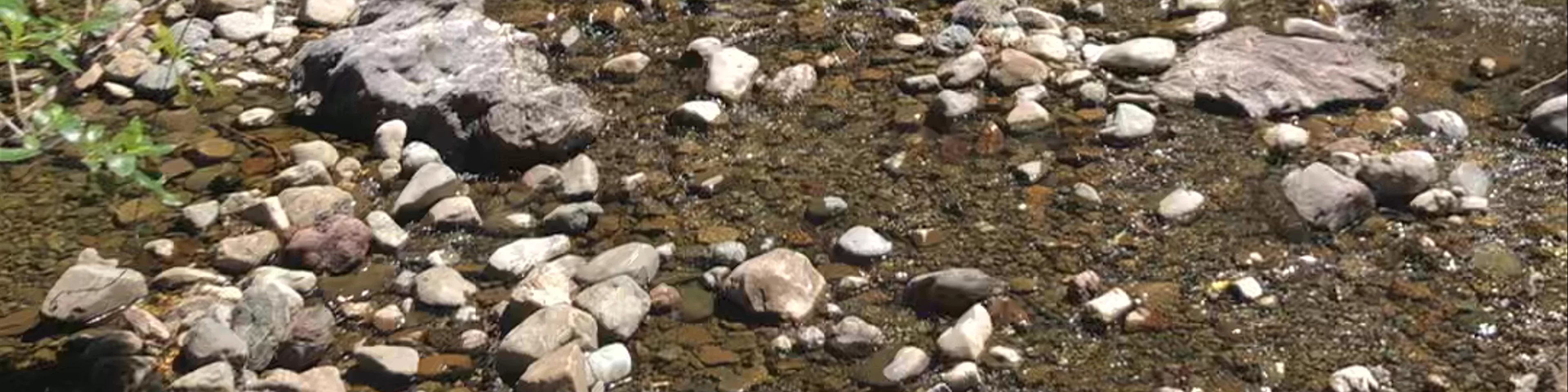 Kaitoke Regional Park Campground