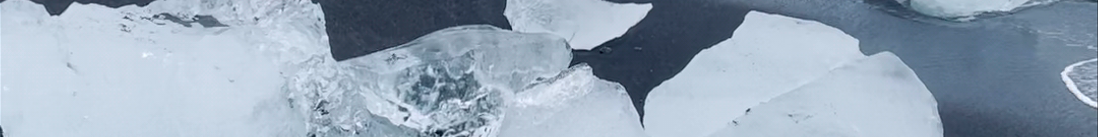 Tours & experiences in Höfn