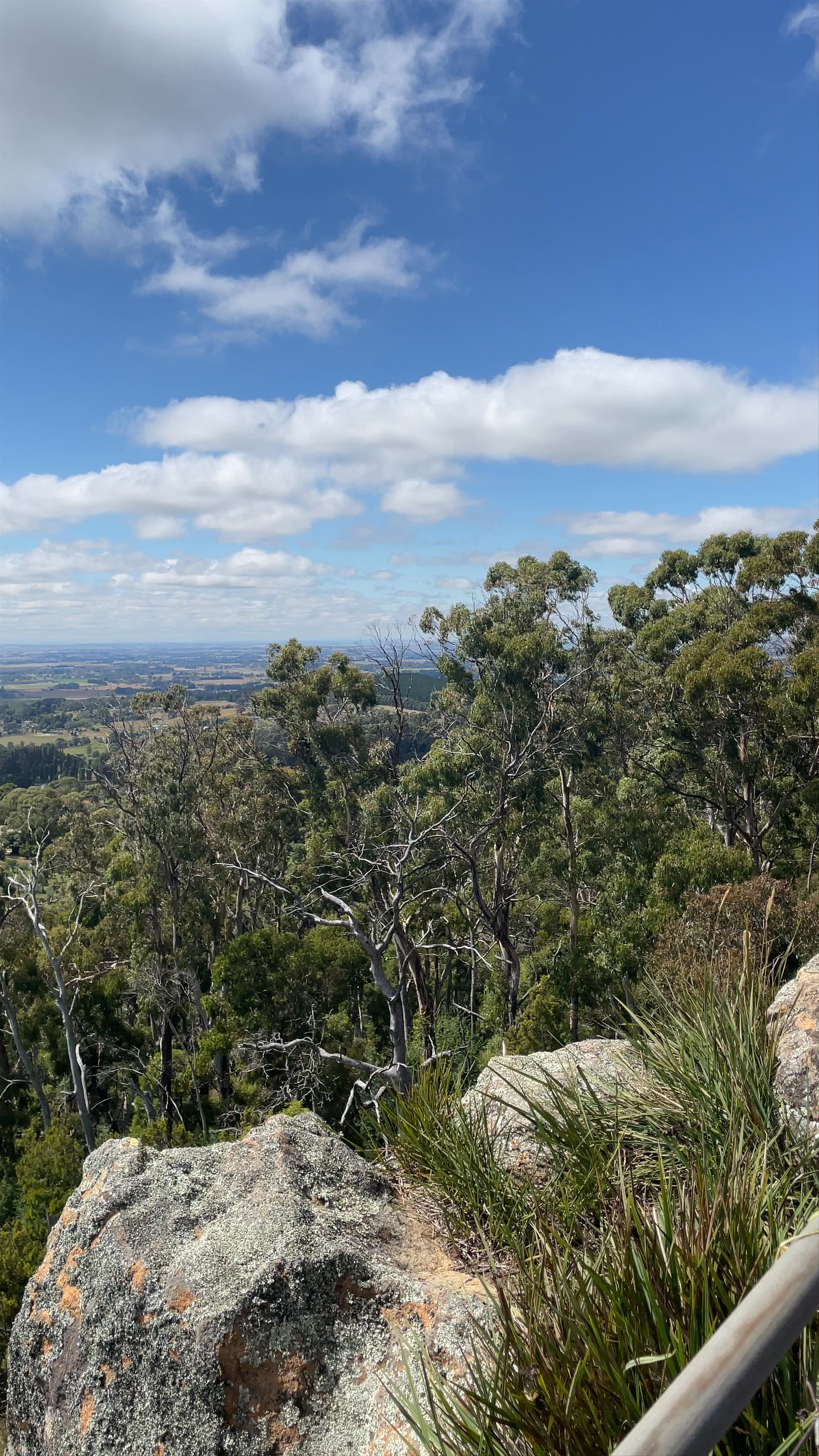 Pinnacle Lookout