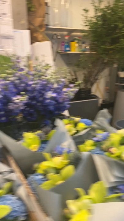 Amaranth - Florists Near Me - New York, New York