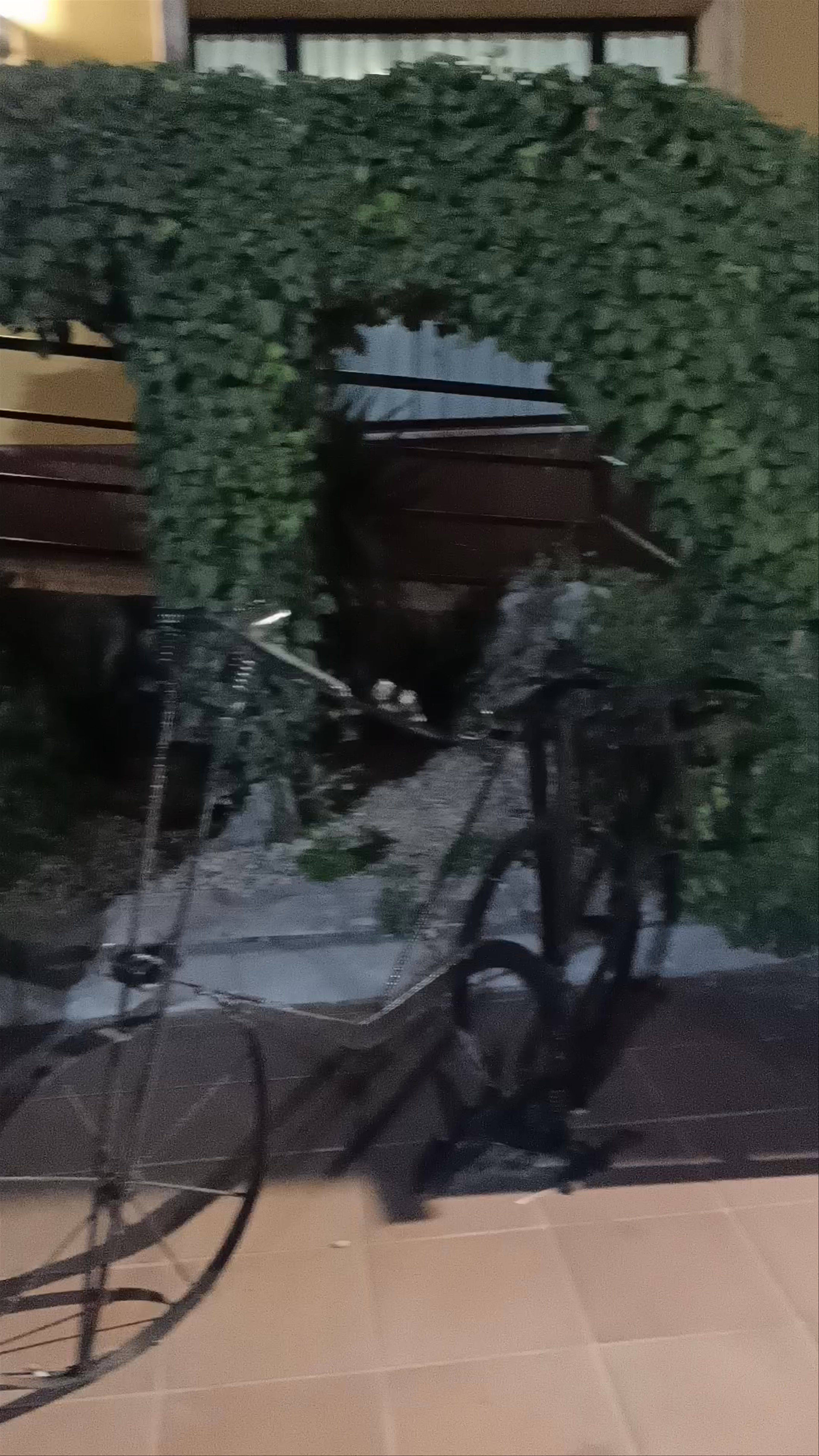 Hotel - Restaurante Segóbriga