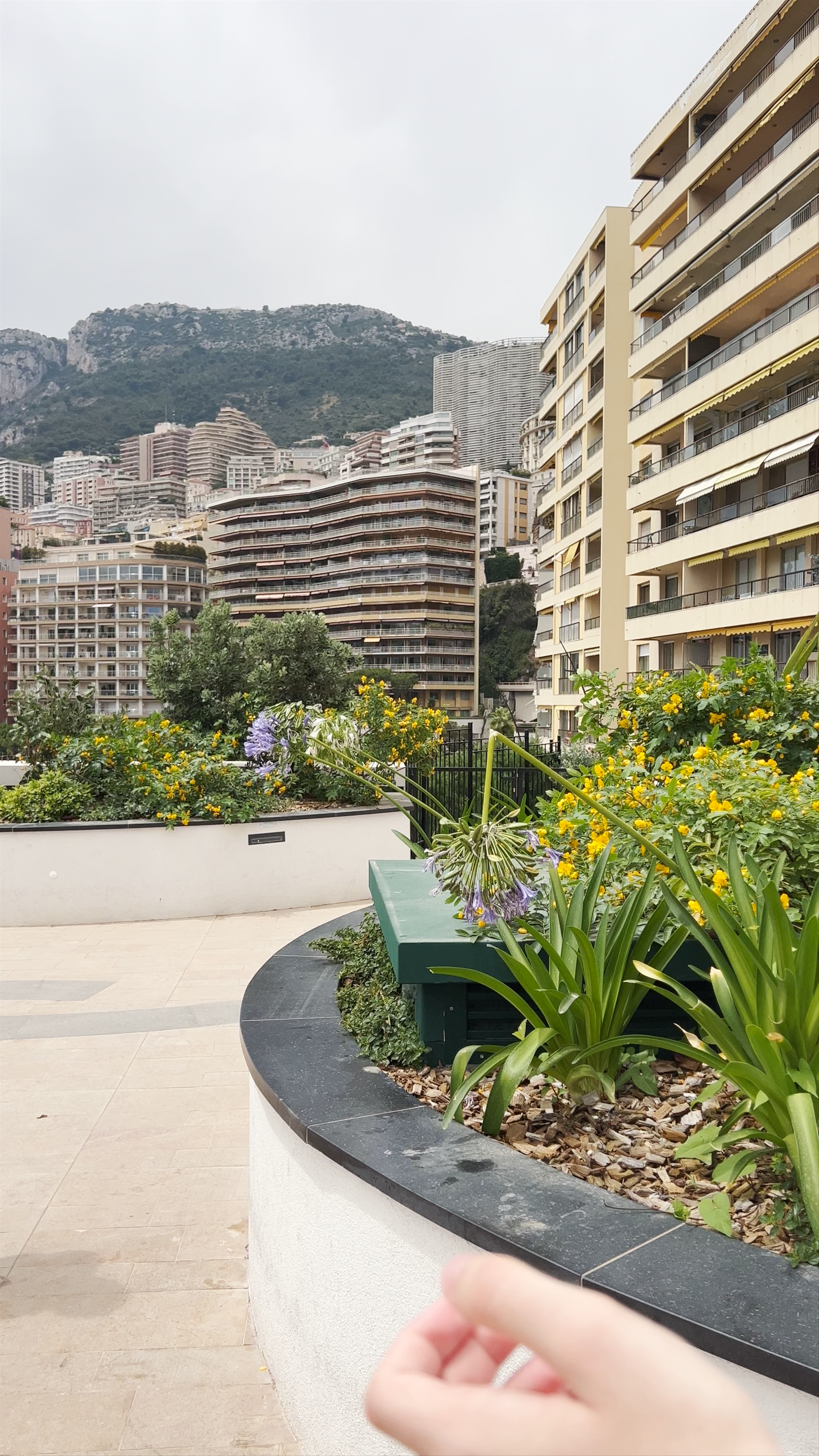 Port Hercule: Luxurious Marina Views in Monaco