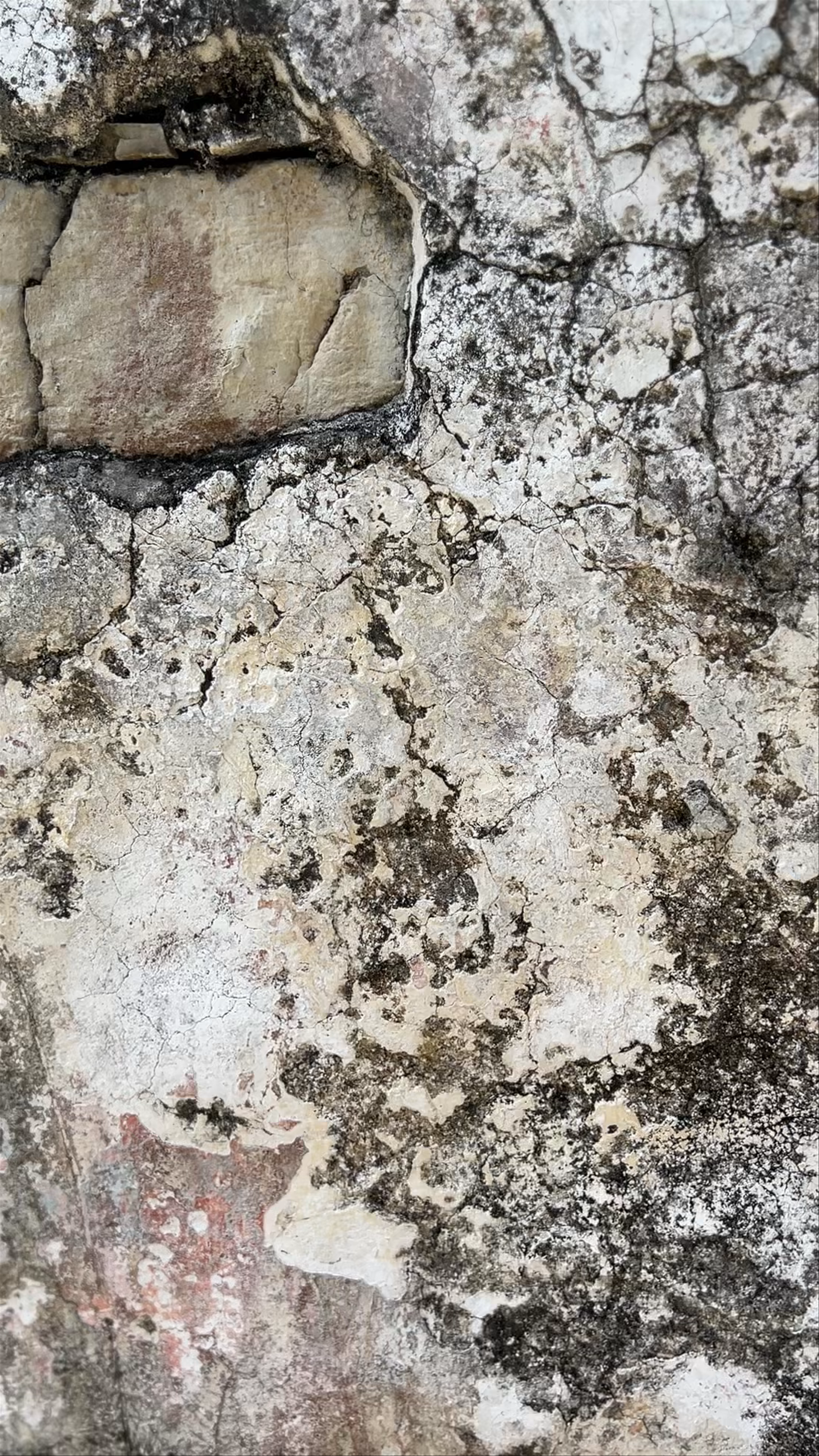 Ancient Mysteries of Palenque National Park