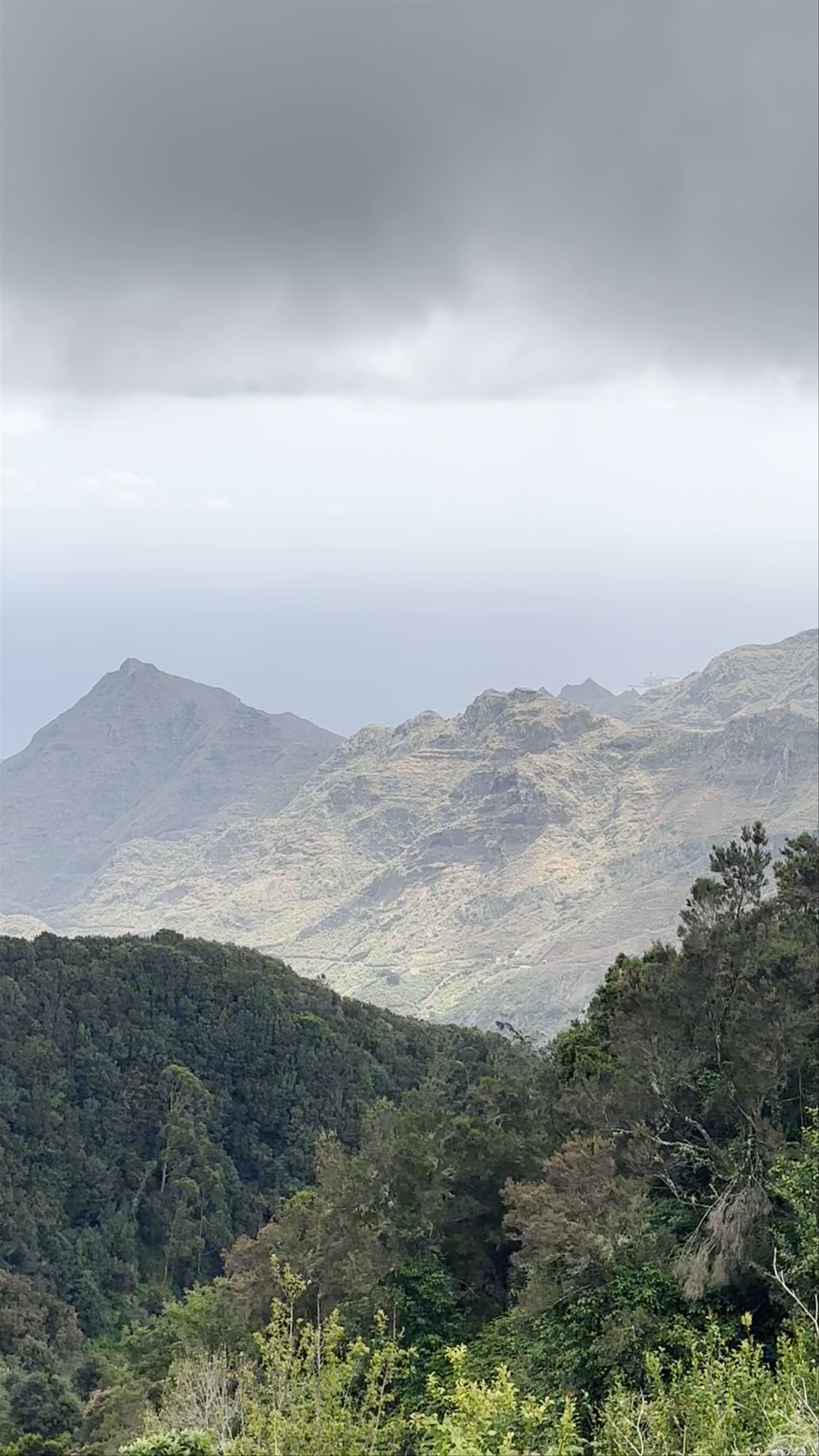 Bosque Encantado (La Ensillada) - El Pijaral
