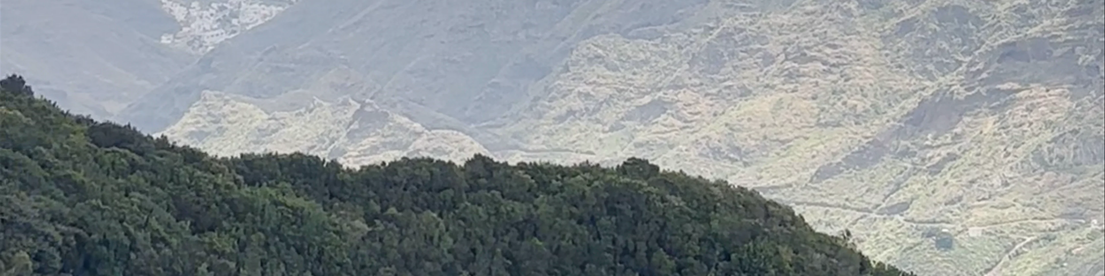 Bosque Encantado (La Ensillada) - El Pijaral