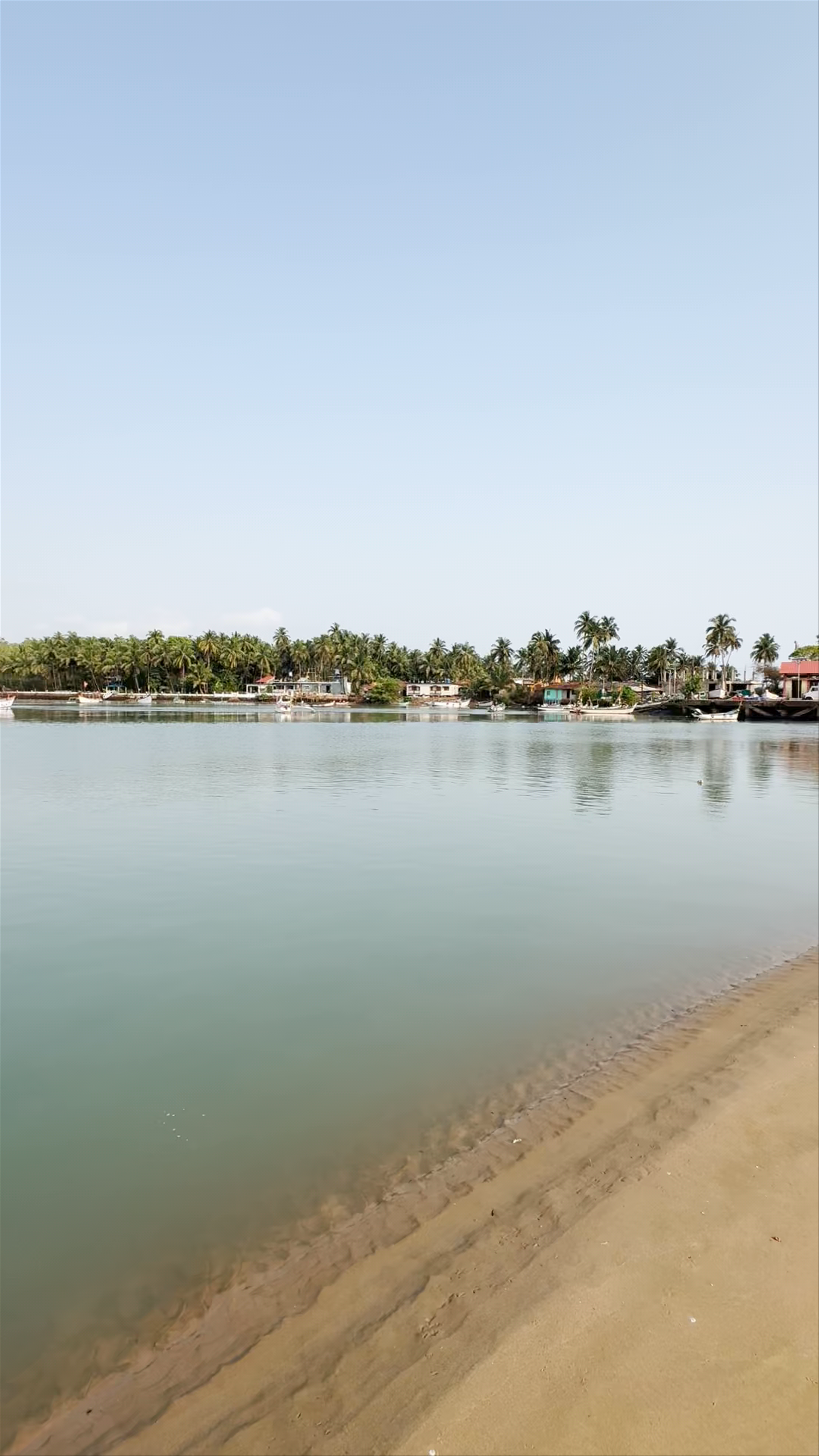 Galgibaga Beach: Untouched Coastal Beauty in Goa