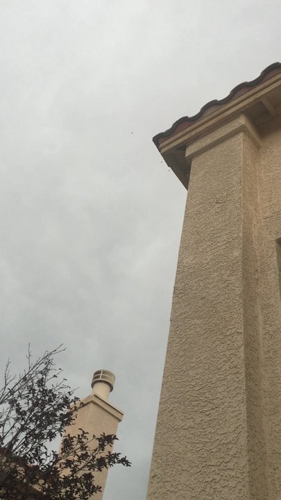 Surefire Pest Control - Bee hive 2nd story! - Pest Control Near Me - Las Vegas, Nevada