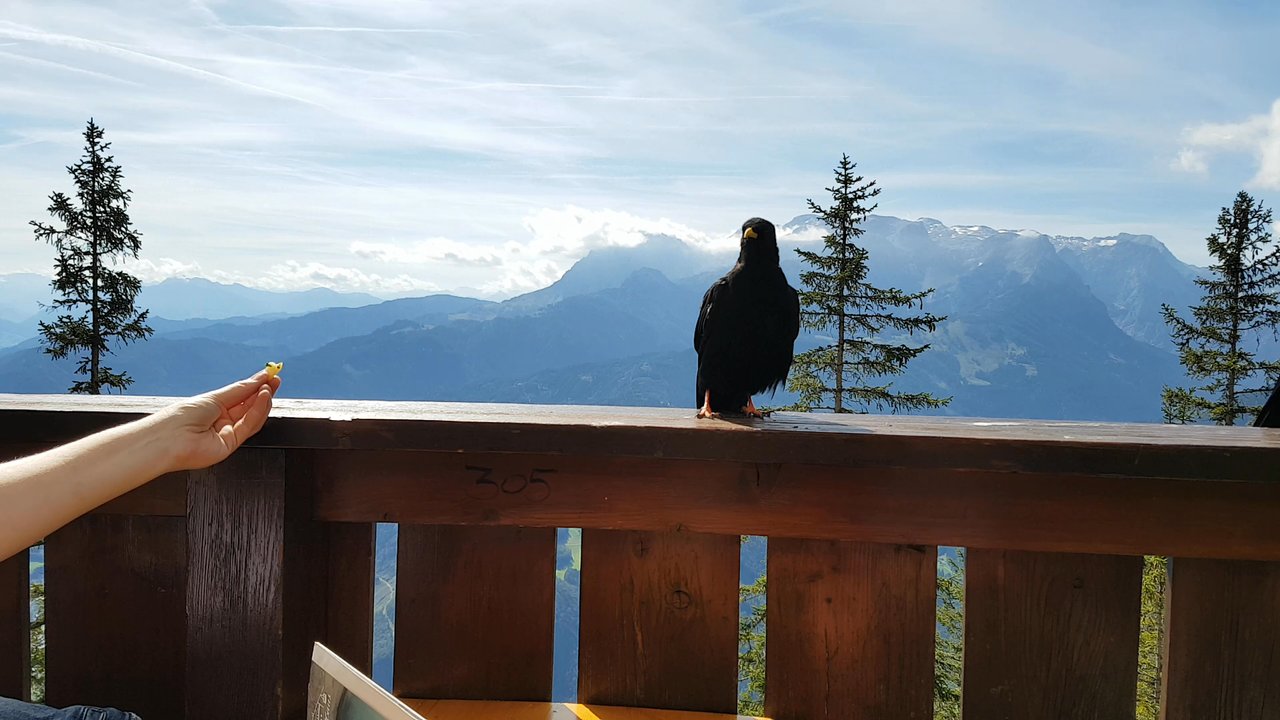 Dr. Oedl Haus - Mountain Huts Near Me - Salzburg, 5