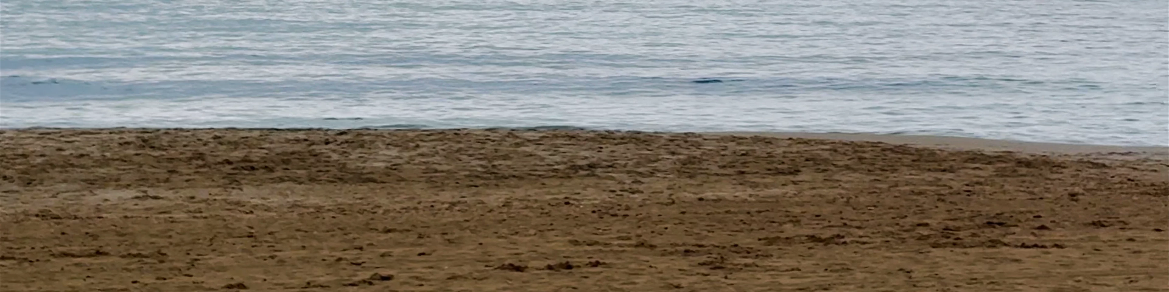 Platja de l'Arenal