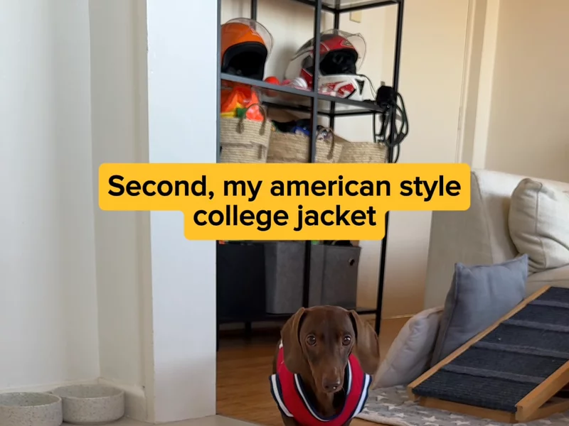 Petbarn