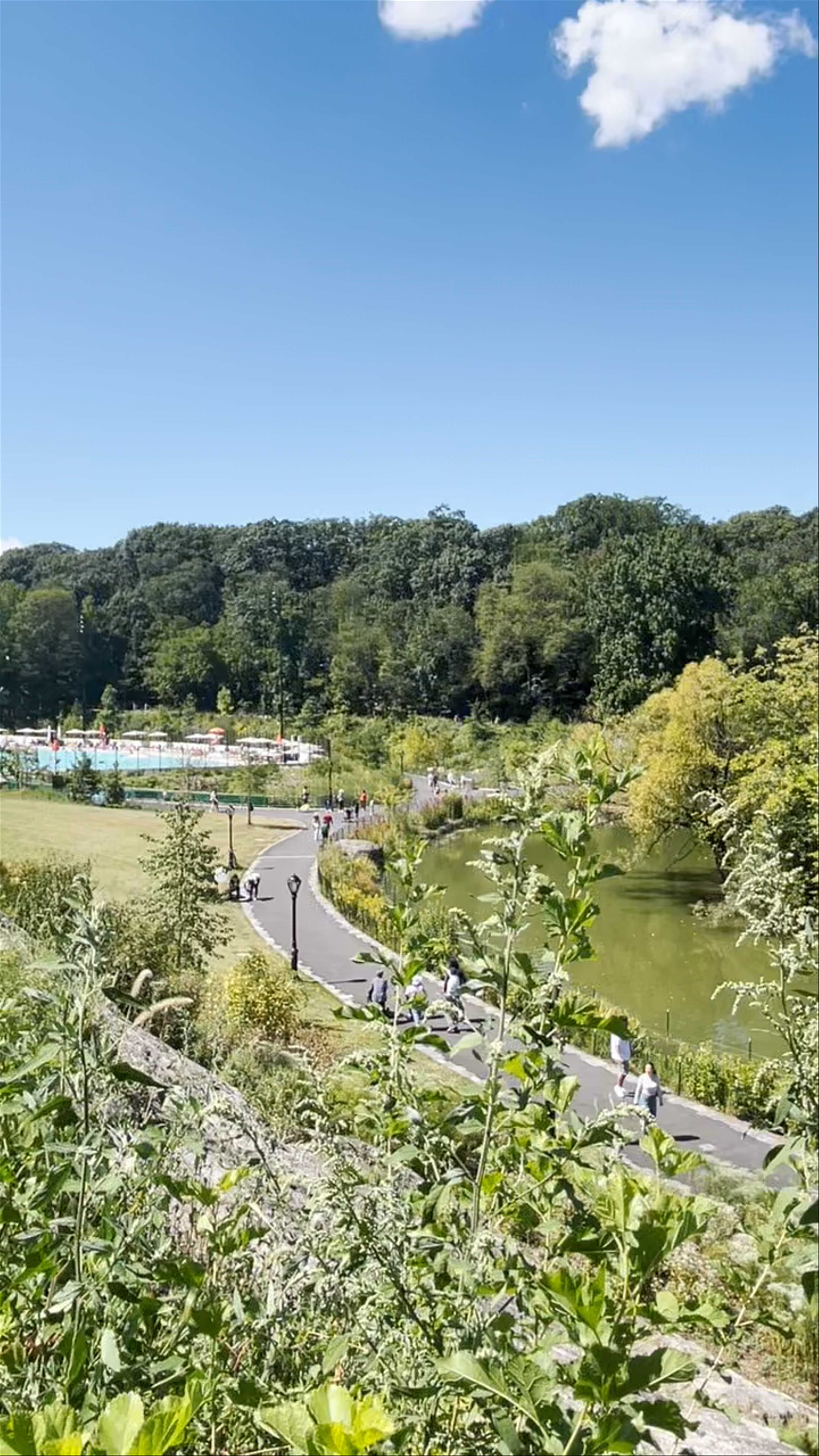 Harlem Meer: Peaceful Nature Retreat in Central Park, New York