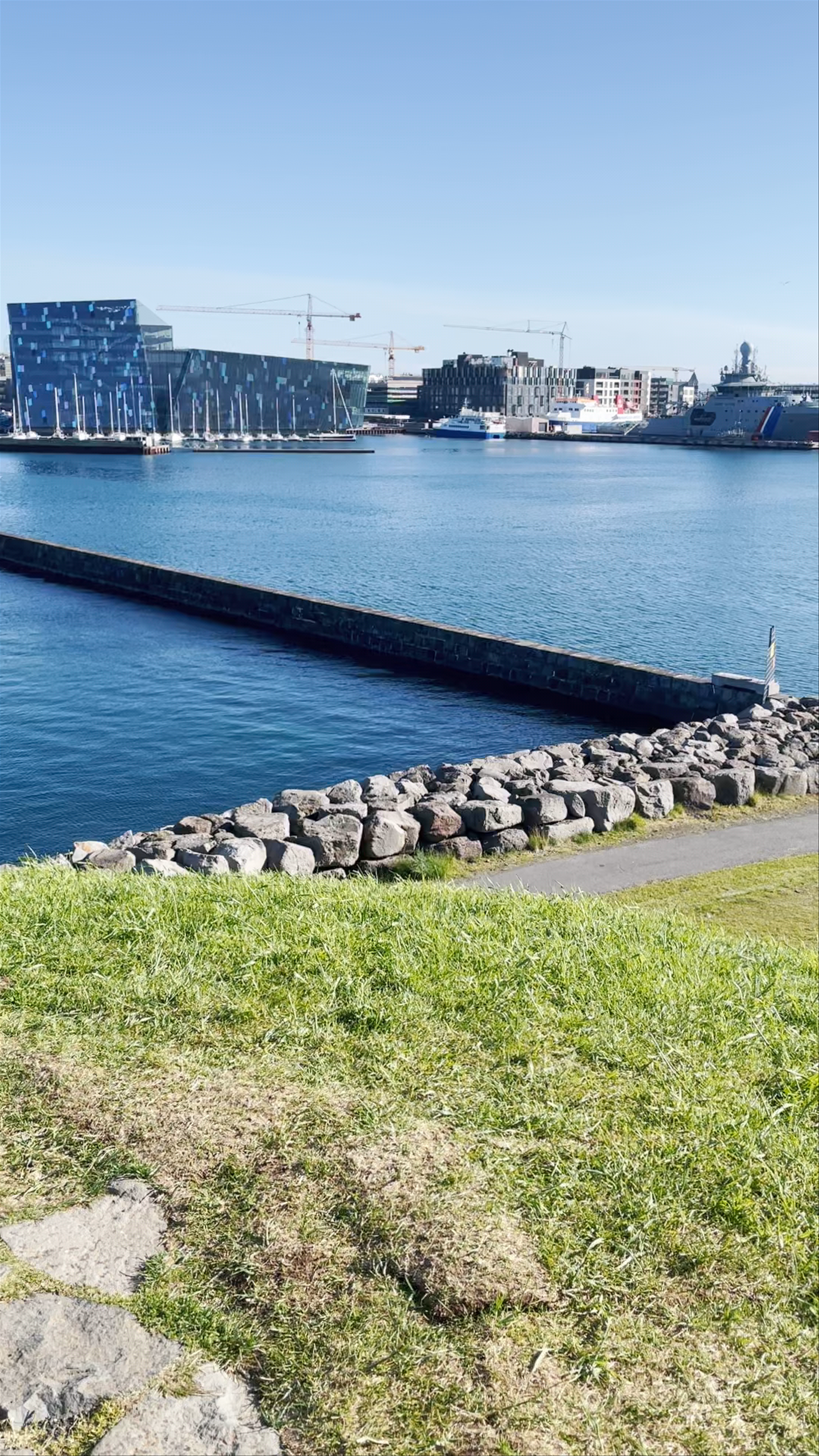 Peaceful Reykjavik Harbor Views with Modern Architecture