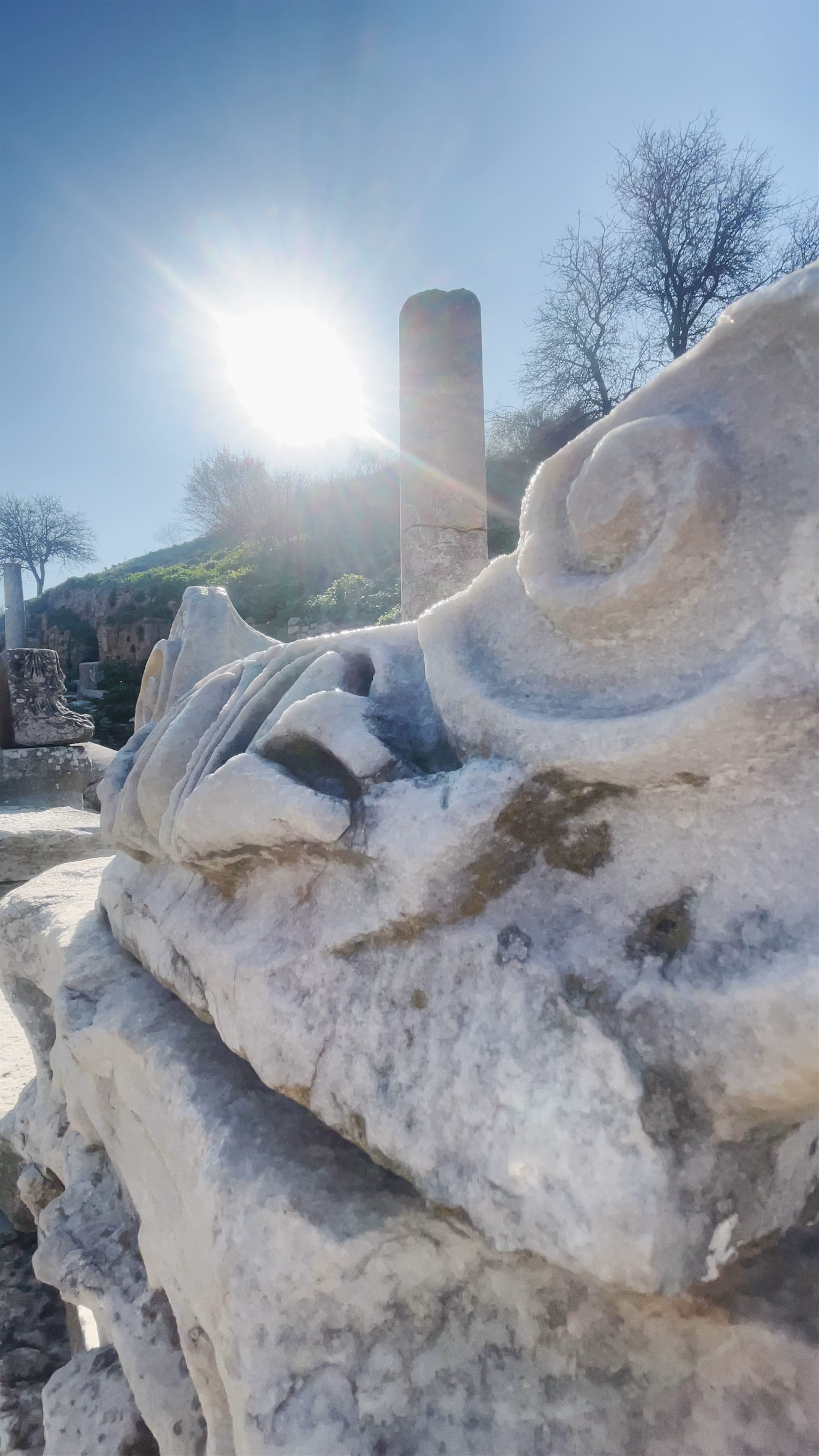 Ephesus Ancient City