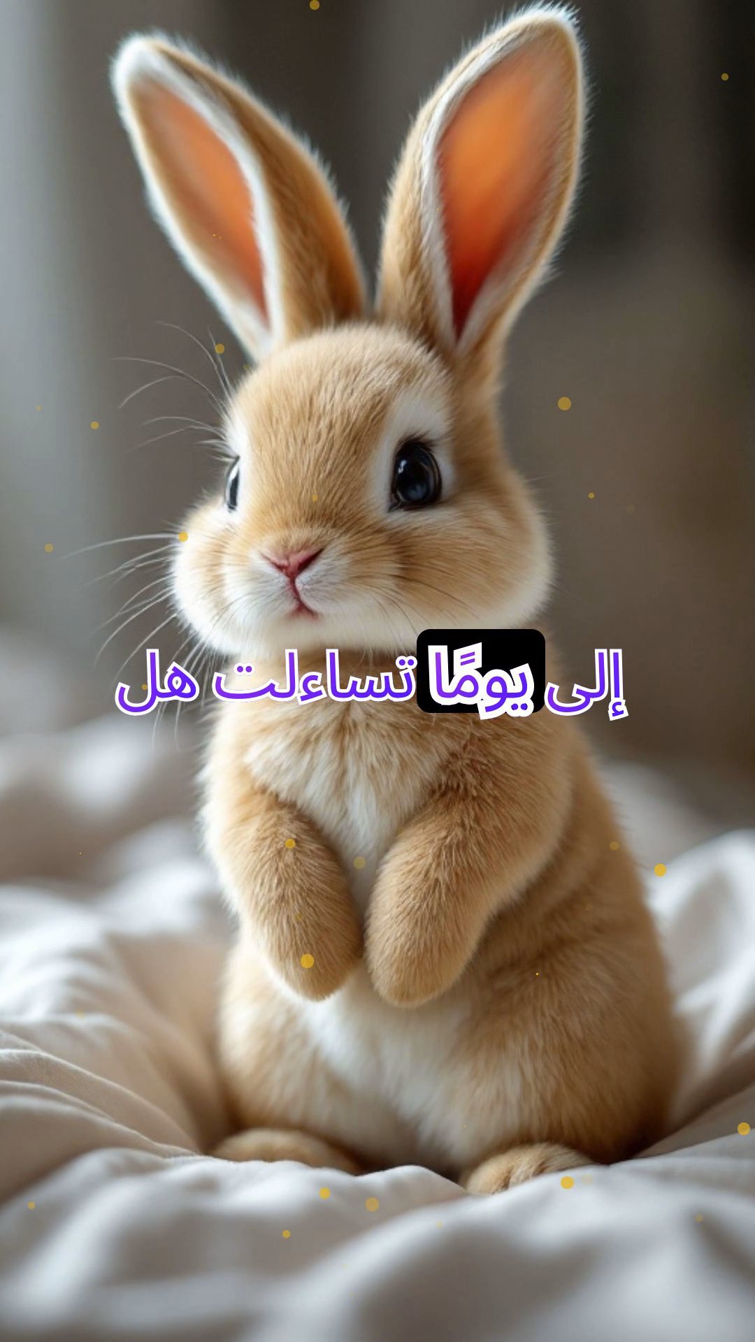 رحلة الأرنب المخملي إلى عالم الأحلام