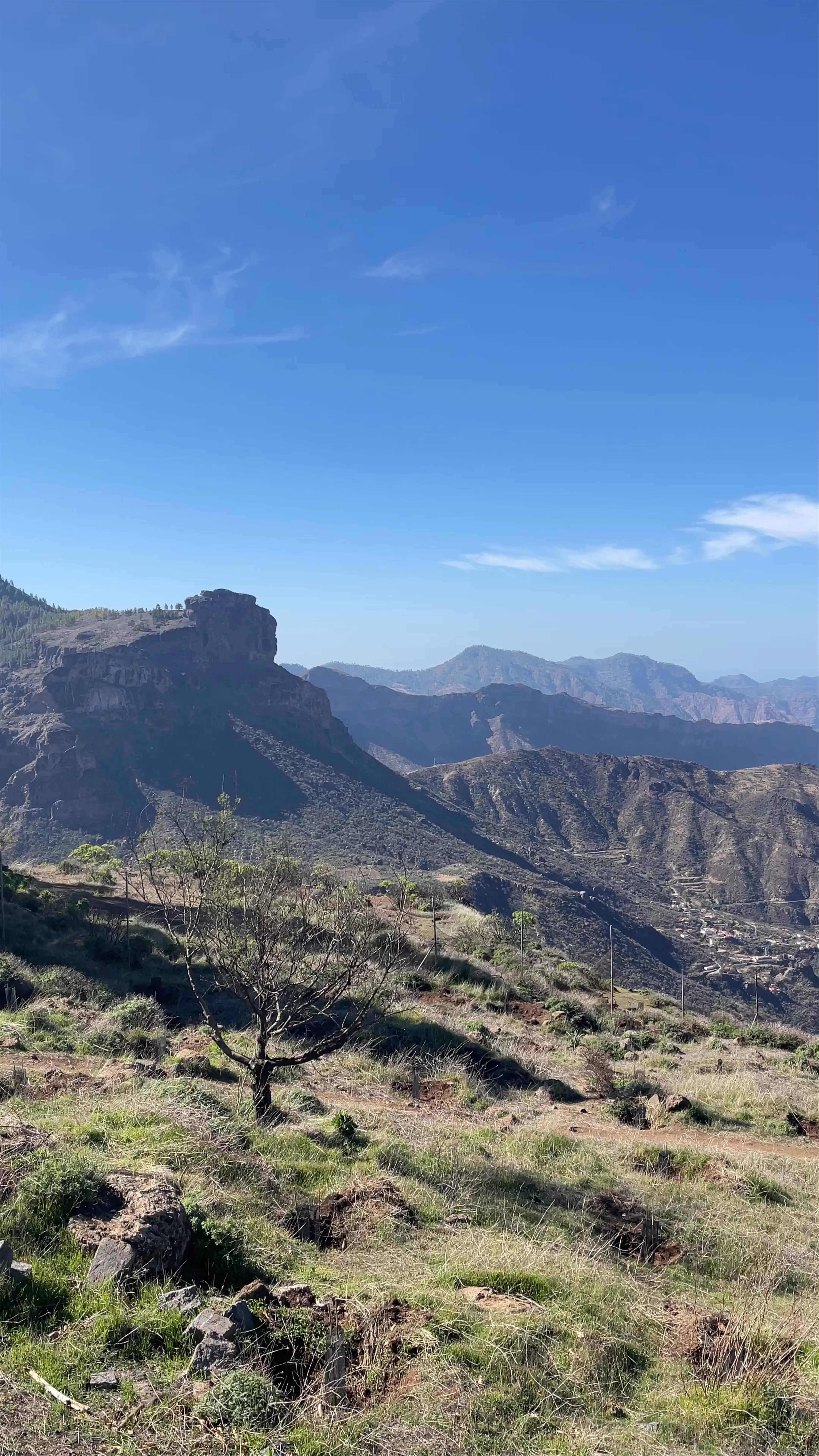 Mirador, Vega de San Mateo