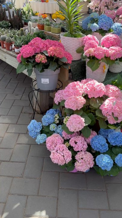Garden World - Walk in entrance view - Nurseries & Gardening Near Me - Franklin Square, New York