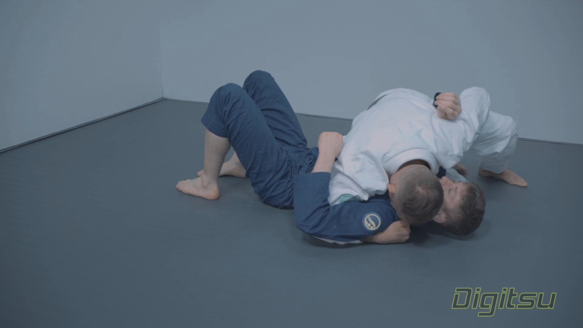 スポーツ・フィットネス The Pressure Passing Encyclopedia BJJ Pressure Passing Encyclopedia by Bernardo Faria
