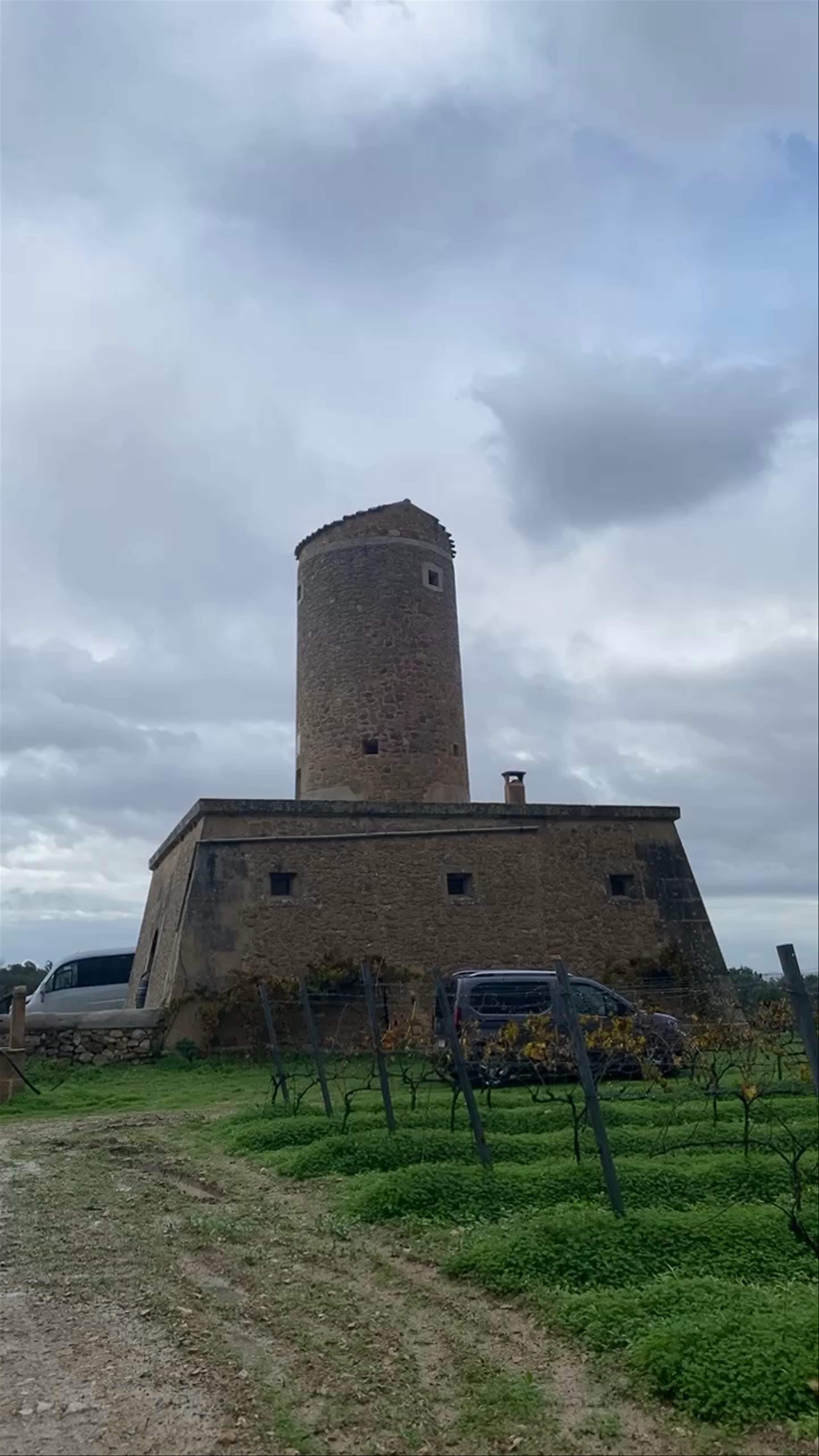 Mesquida  Mora Vineyard and the San Porque windmill