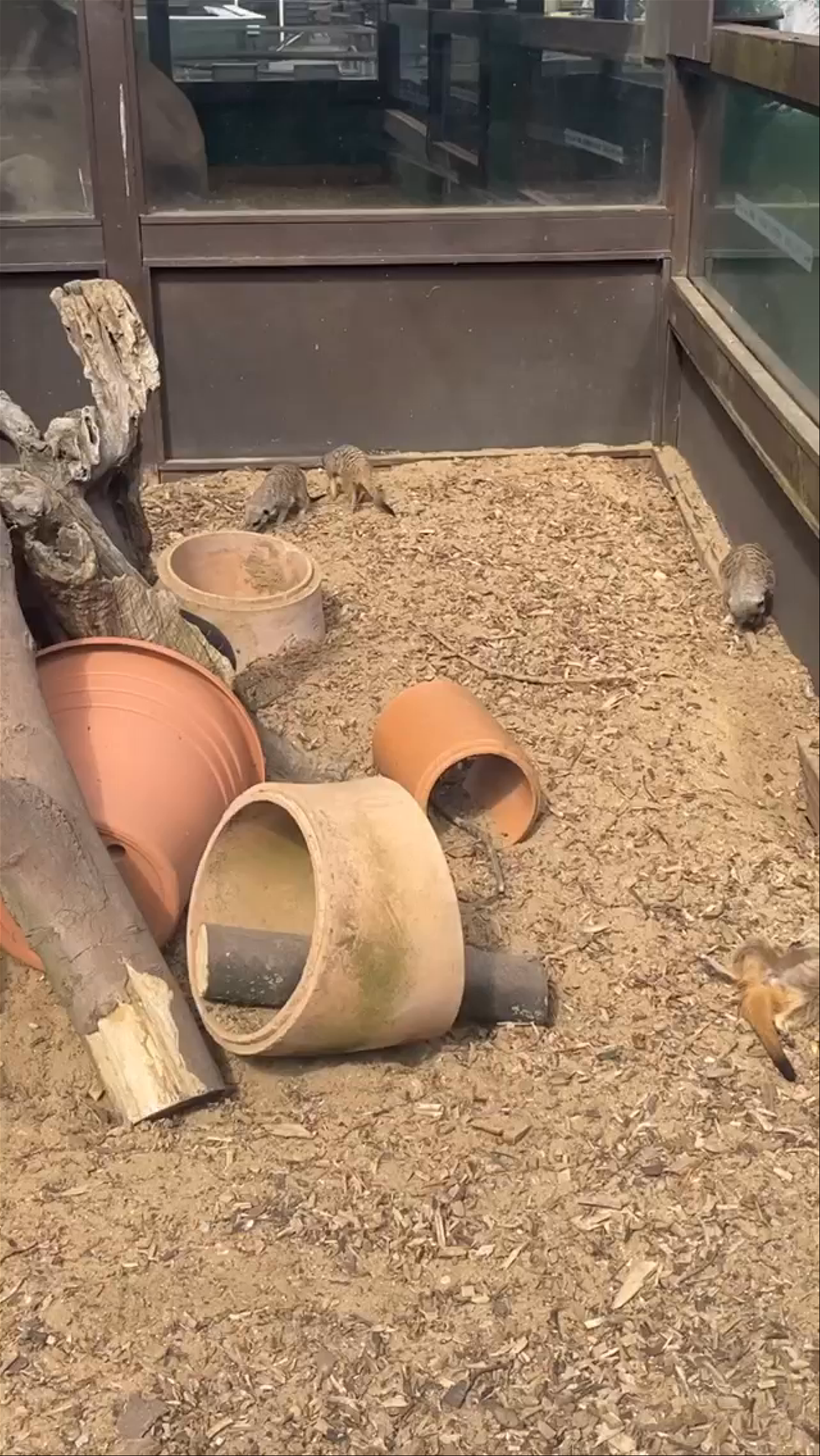 Shepreth Wildlife Park